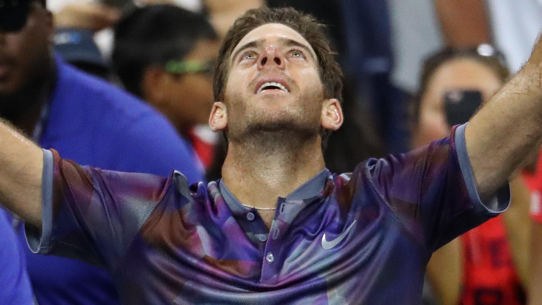 Juan Martin del Potro