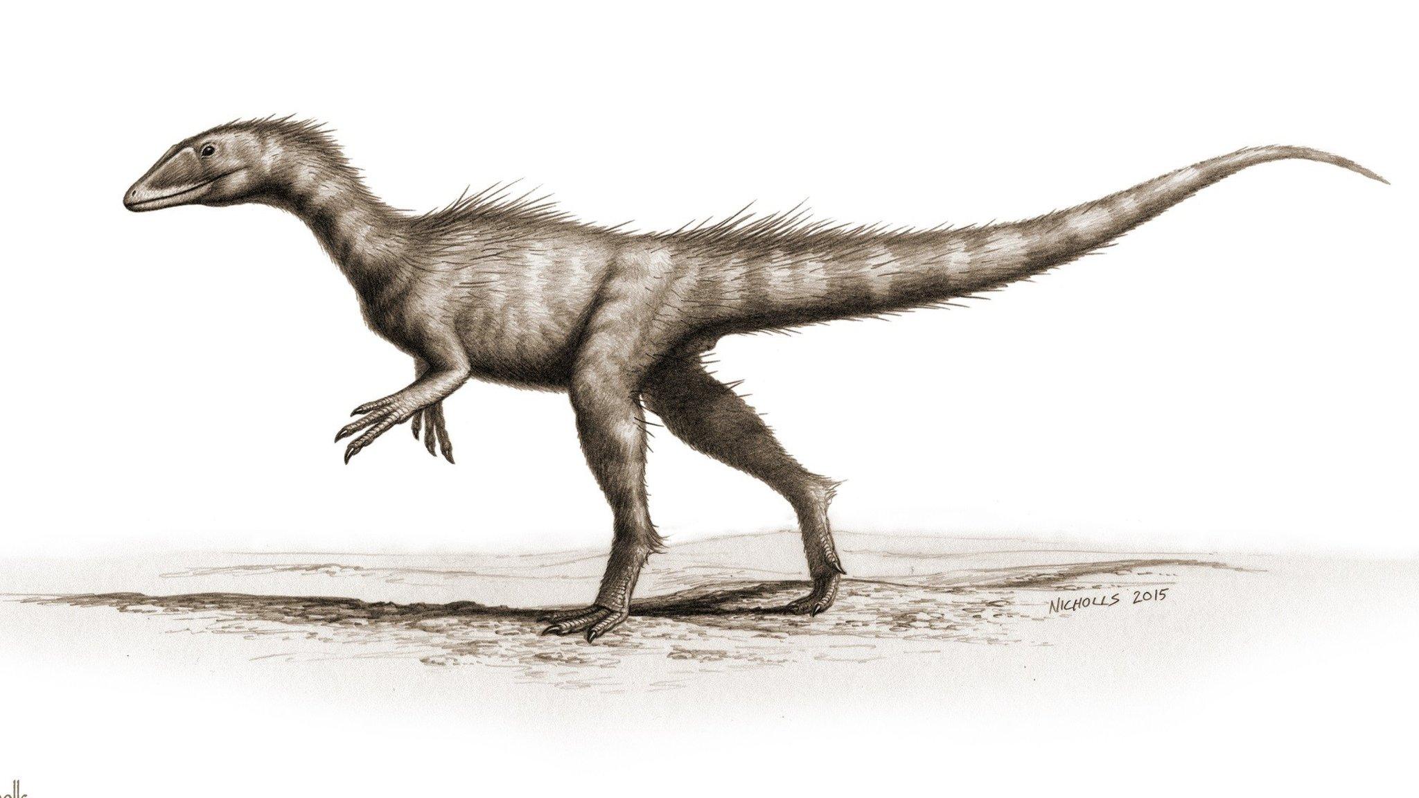 Artist impression of dracoraptor hanigani