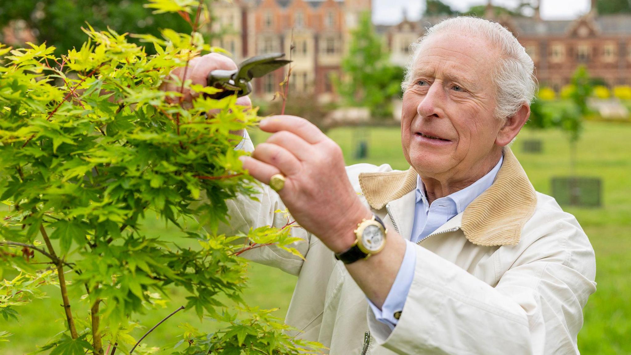 King Charles pruning a plant at Sandringham in a picture from Country Life magazine