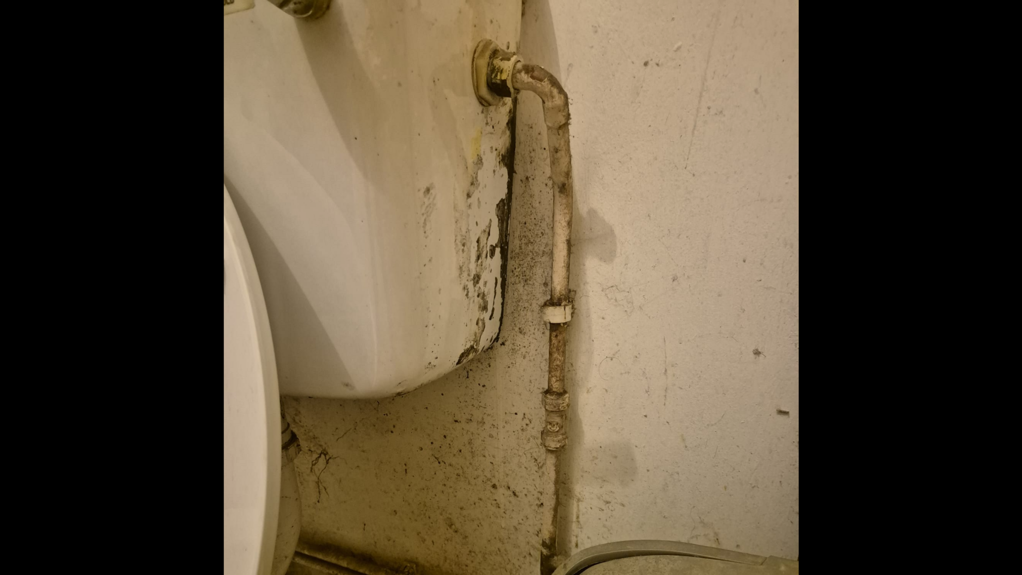 A mouldy toilet against a cream wall