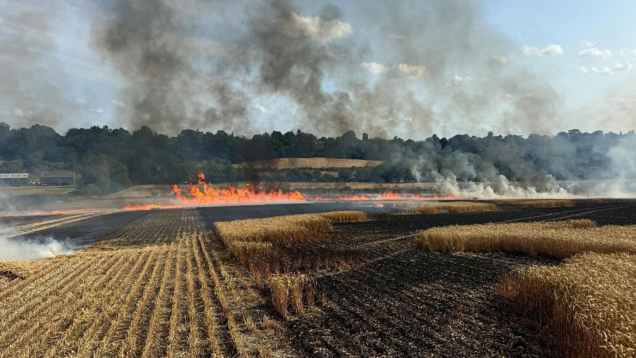A large area of ploughed and harvested farmland burns.