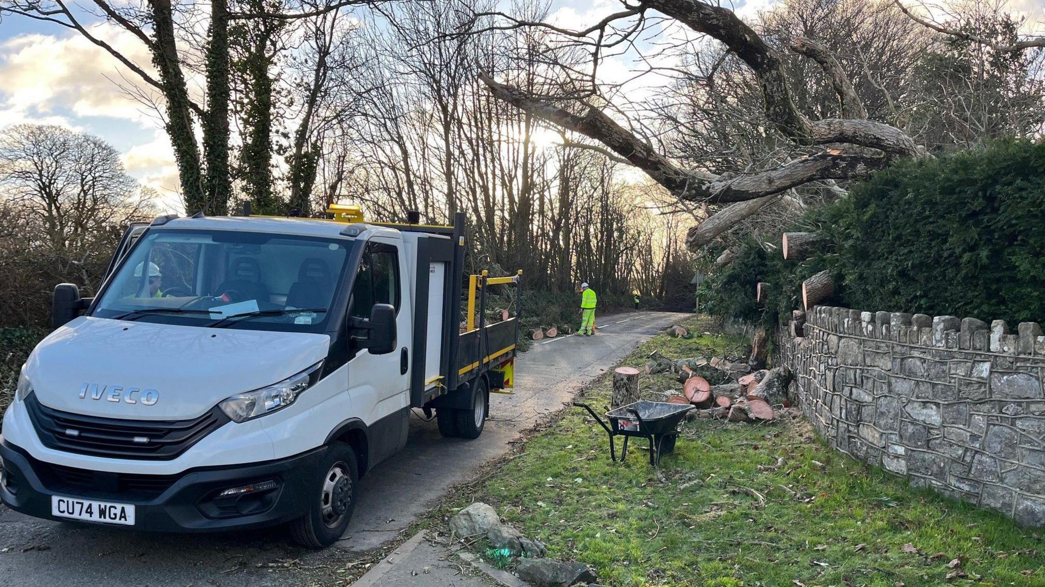 A large white half bed lorry block a rural road line by trees and an stone fence on one side. Trees are down on the fence and logs have been sawed and pilled on a grassy verge. in the far background a man in a high viz top and trousers is stand beside another pile of thick logs stacked on the road. 