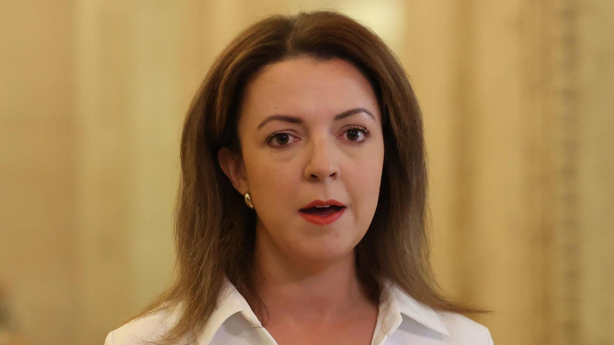 Liz Kimmins speaking in Stormont, a stone walled building. She has long brown hair and is wearing a white shirt.