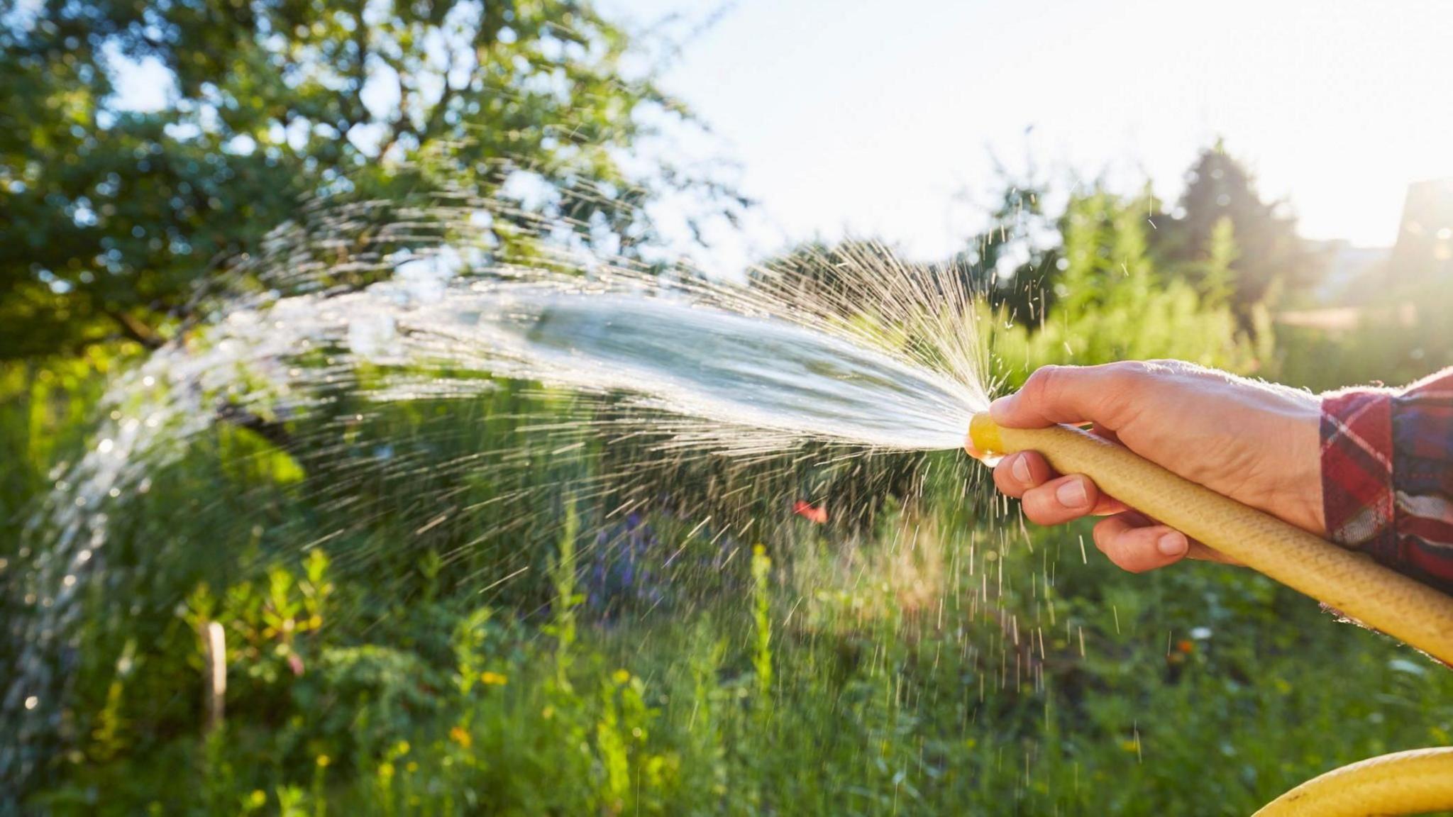 A hand holding a hosepipe with water squirting from its end. There are green plants in the background.