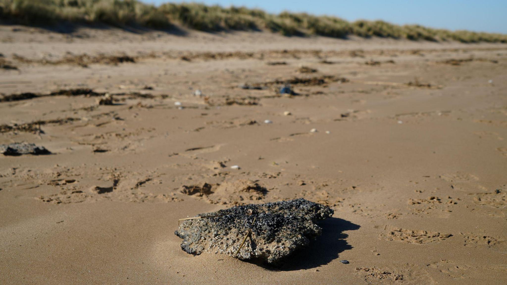 A collection of charred nurdles on a beach. Other debris is strewn across the sand. Dunes are in the background