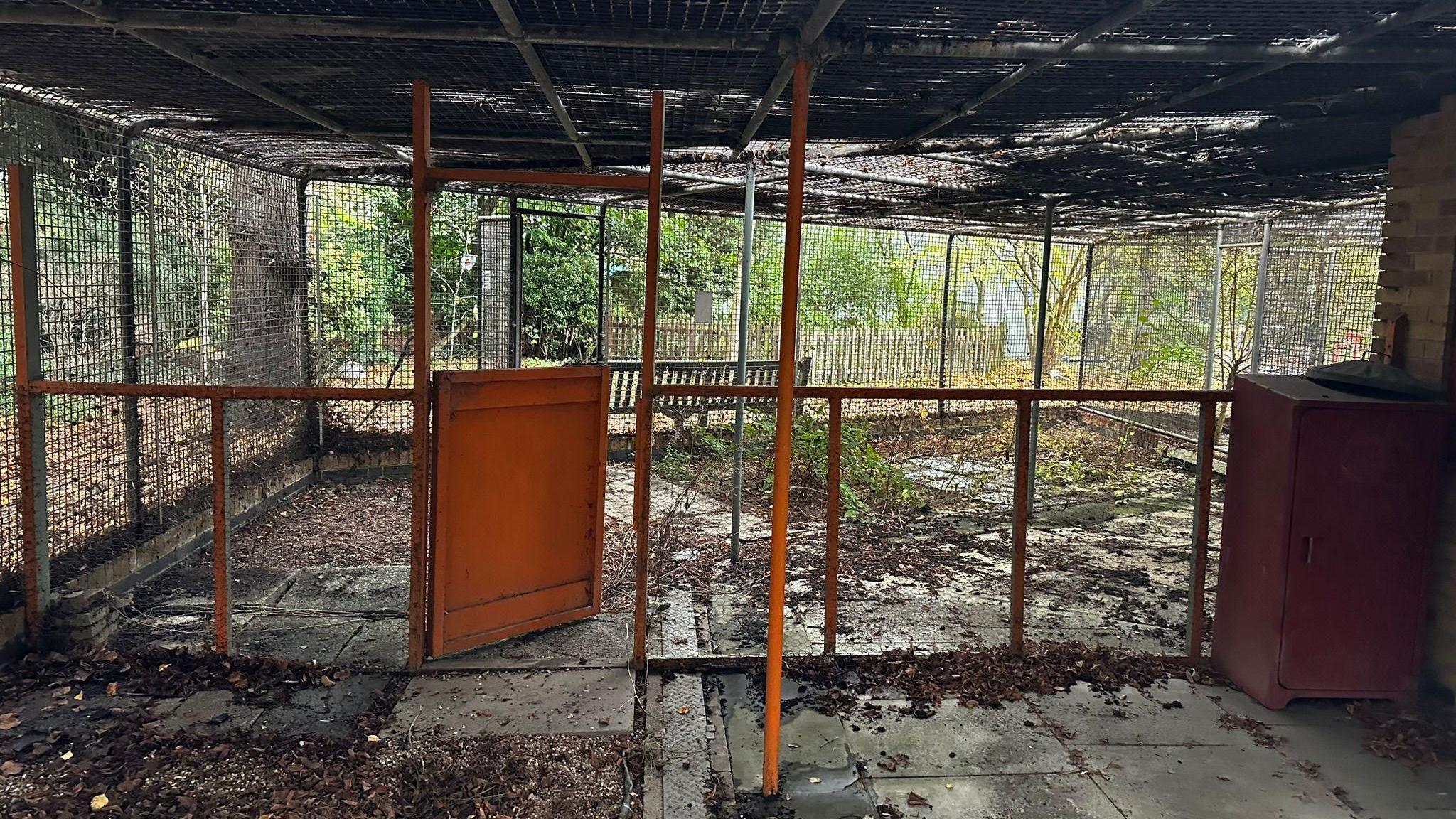 A large aviary, surrounded by wire netting from floor to ceiling. The space looks neglected, with weeds growing between concrete floor slabs. An orange-coloured gate leads into the aviary. Trees can be seen outside in the background.