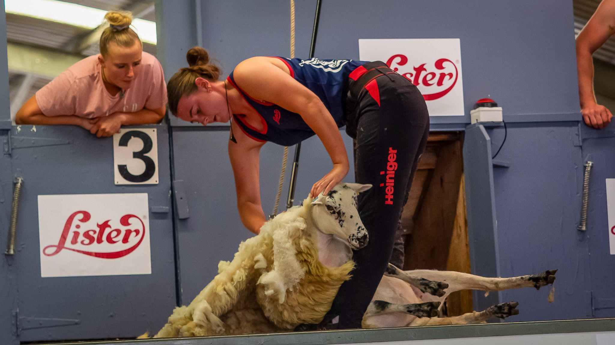 Woman on a stage shearing a sheep