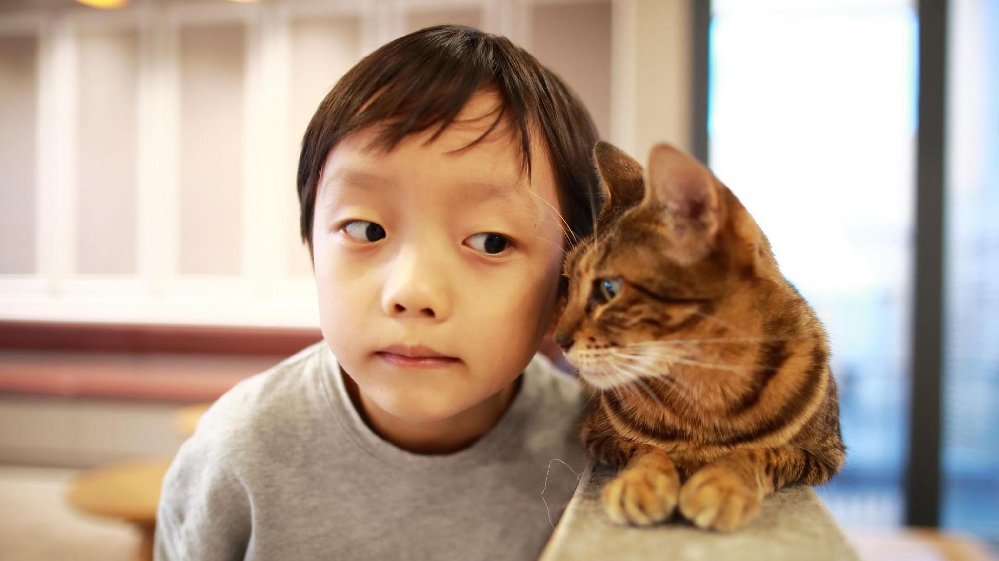 Child and cat.