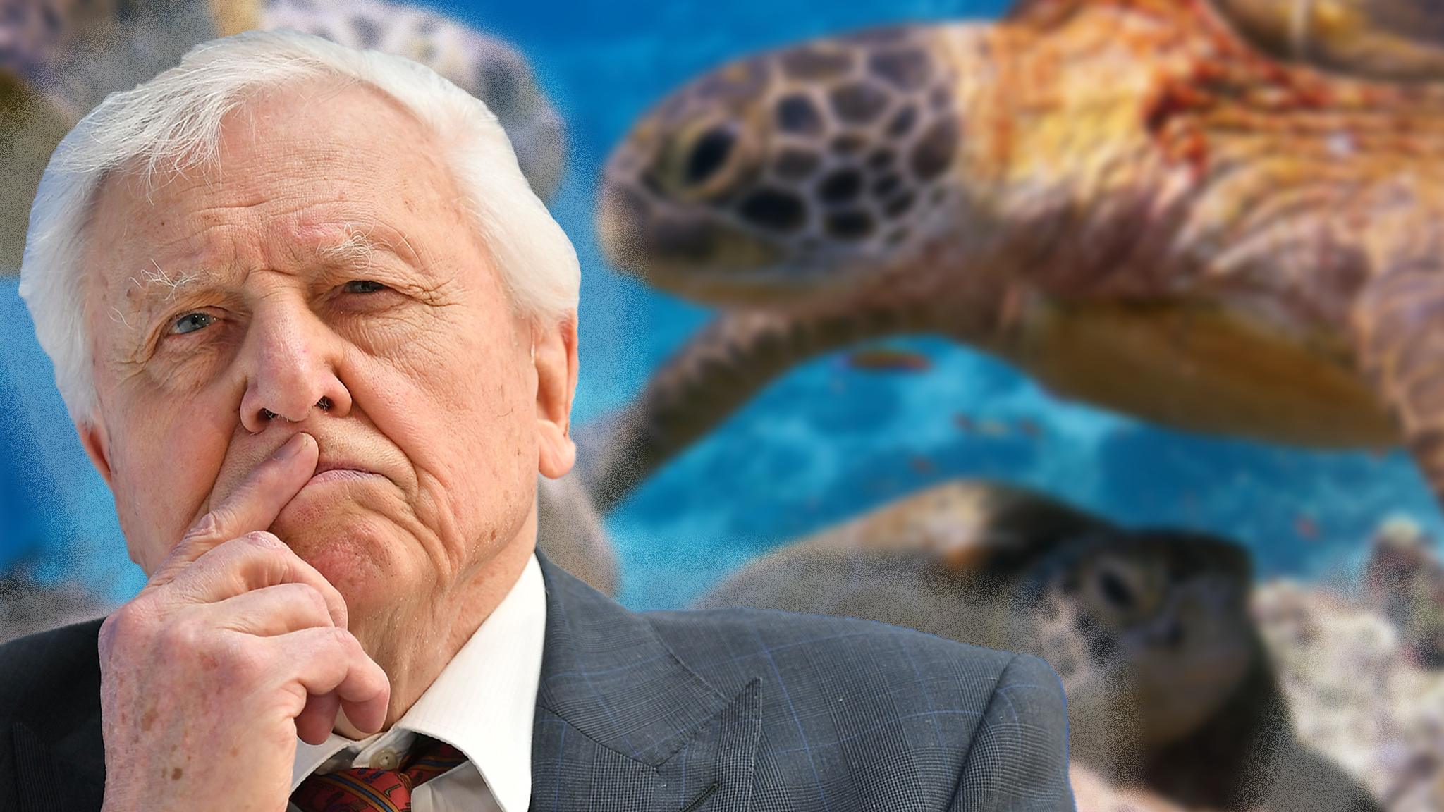 David Attenborough