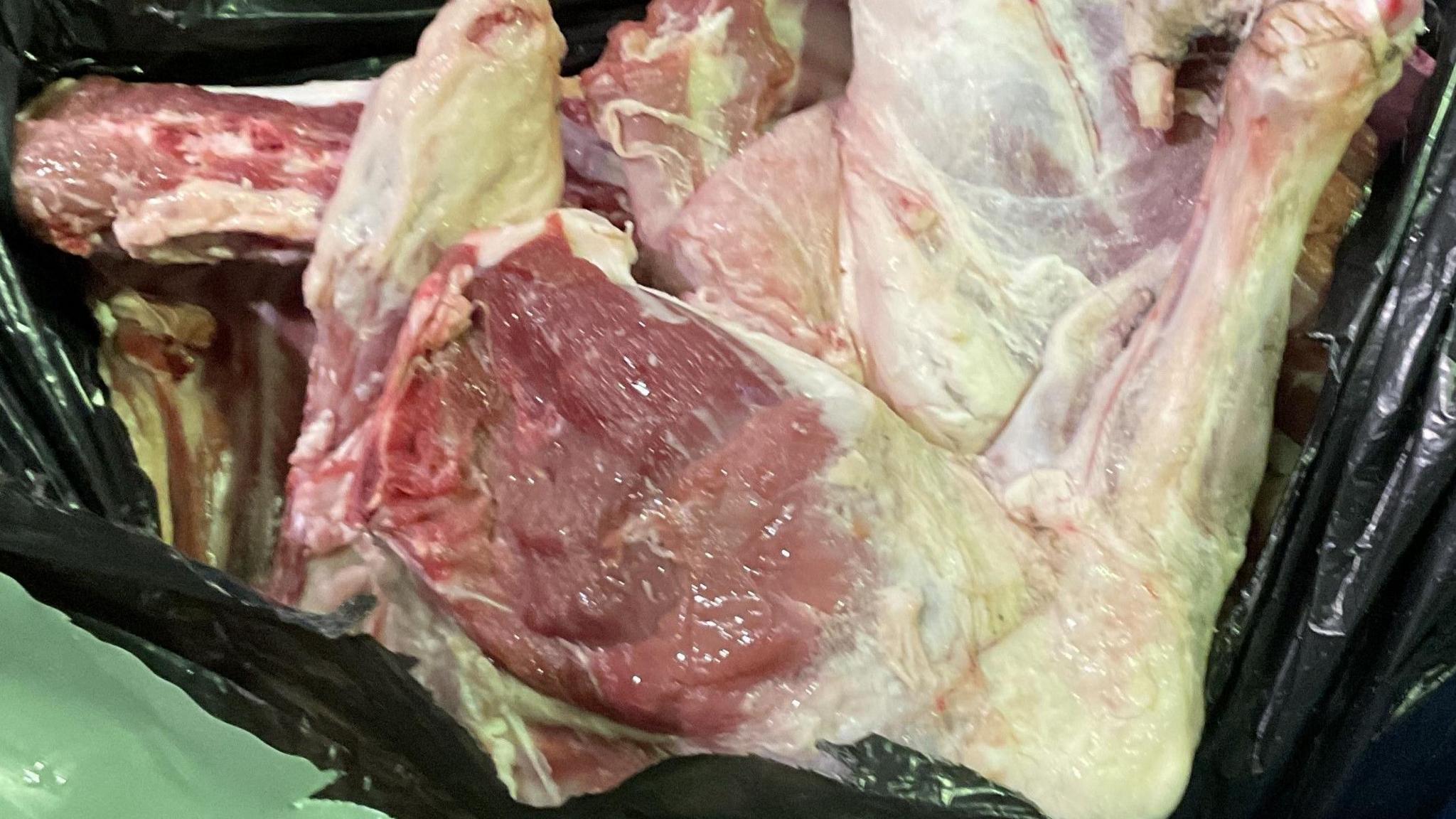 A black bag filled with multiple large white and pink chunks of animal carcass.