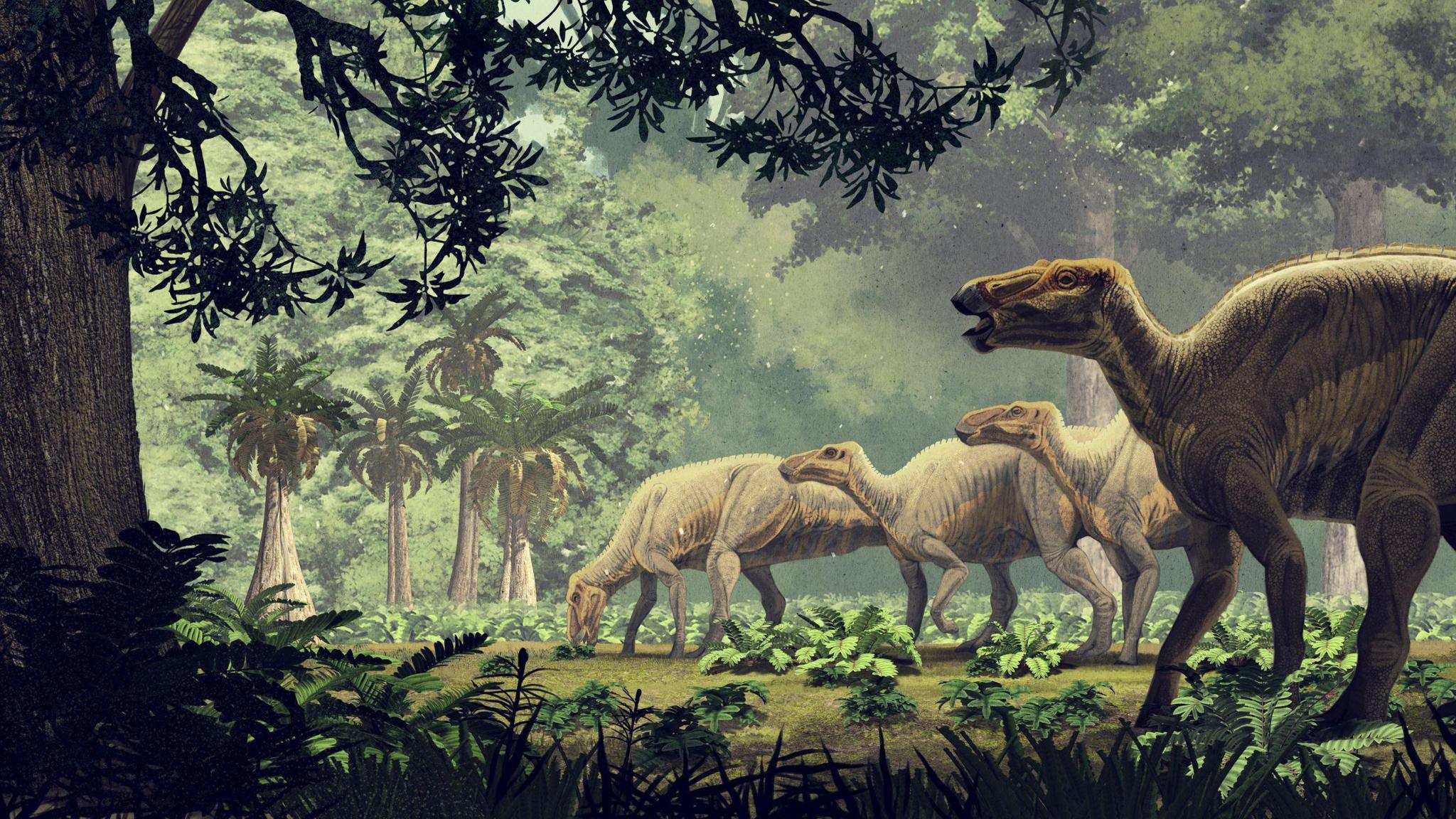 Illustraition of Edmontosaurus annectens