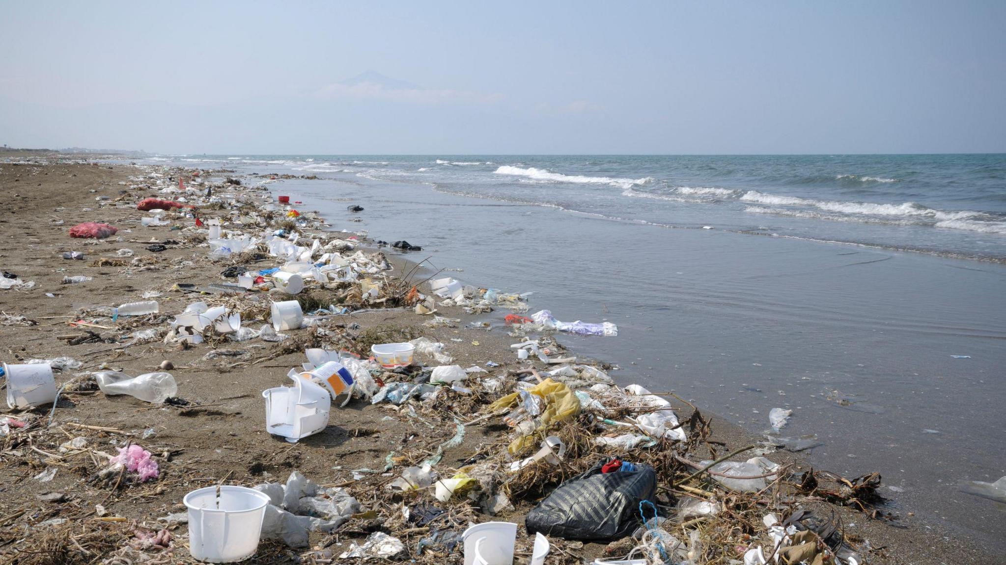 Lots of plastic litter along a stretch of beach. 