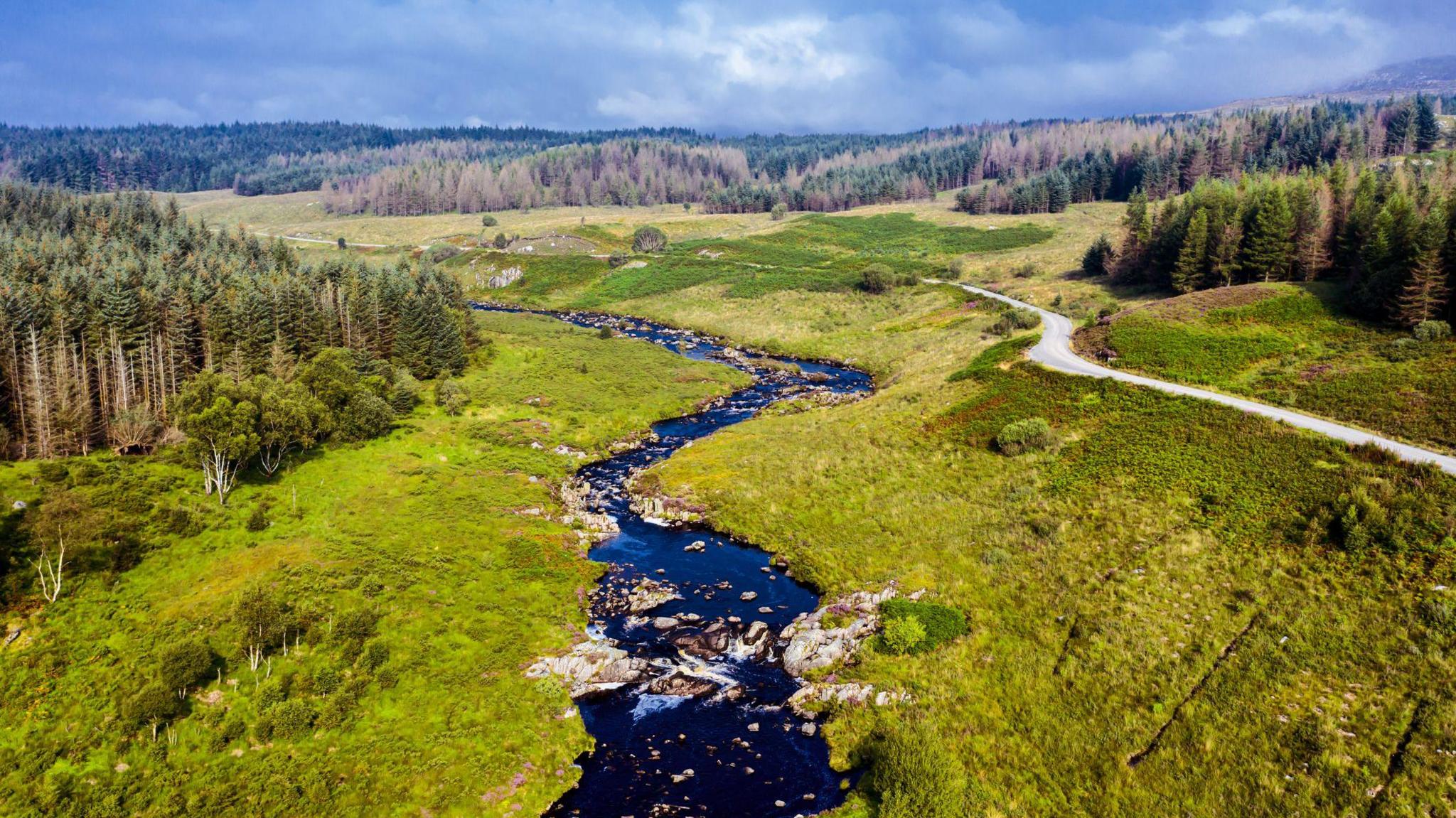 A river and trees in Ayrshire, Scotland