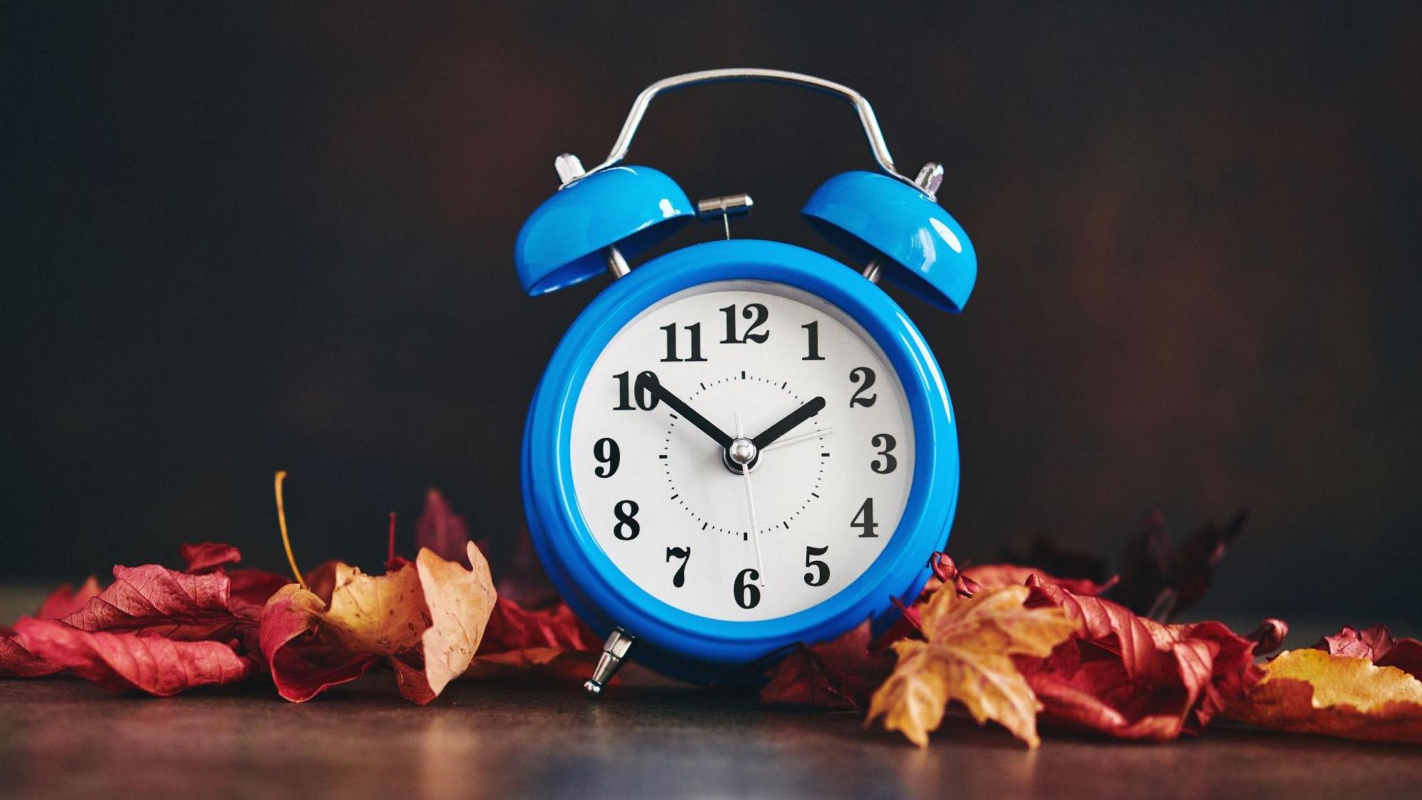 A blue, traditional analogue alarm clock with its minute hand at 10 and its hour hand at two. It is placed in front of a dark background with red and orange leaves surrounding it.