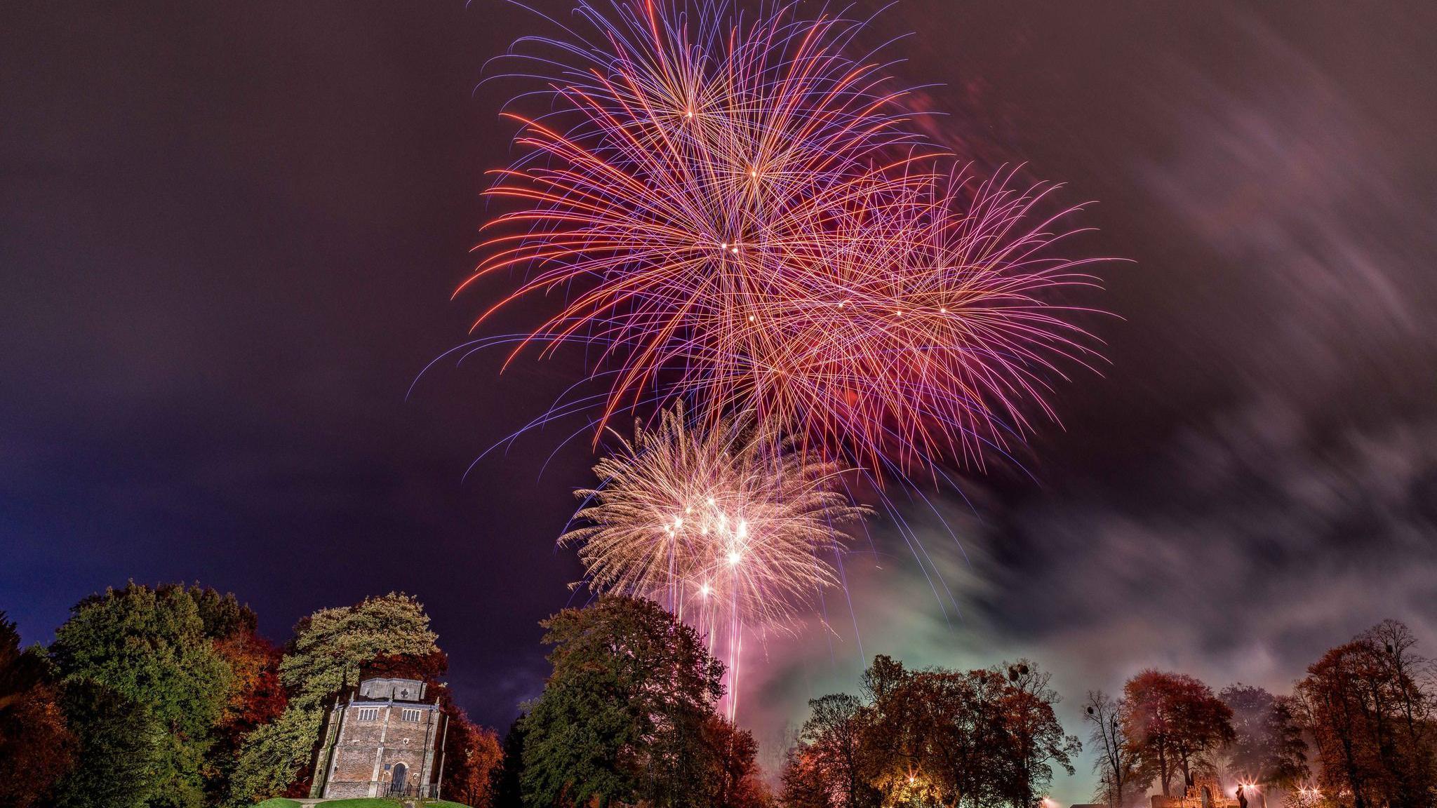 Pink and purple fireworks in the sky