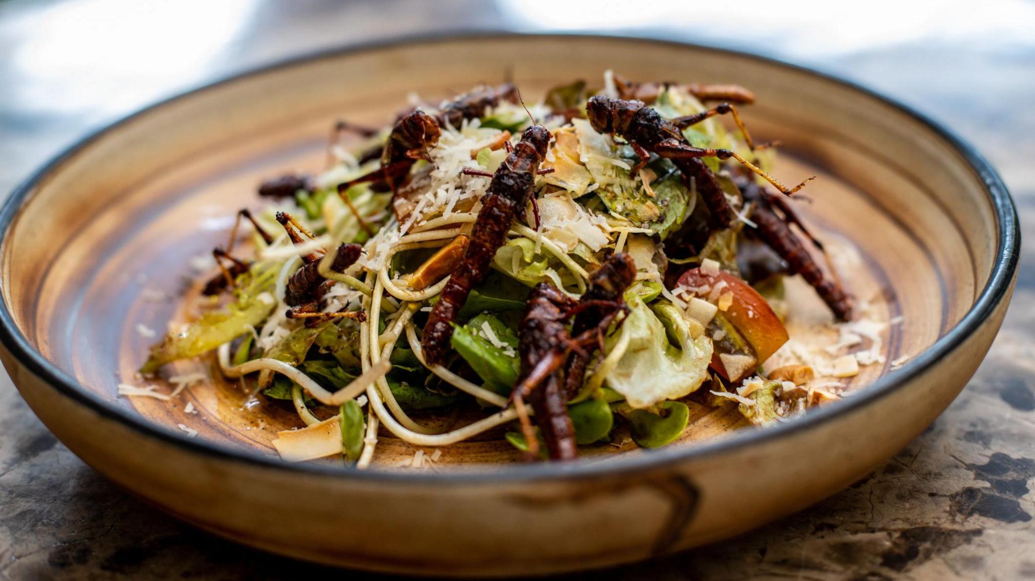 A salad topped with crickets