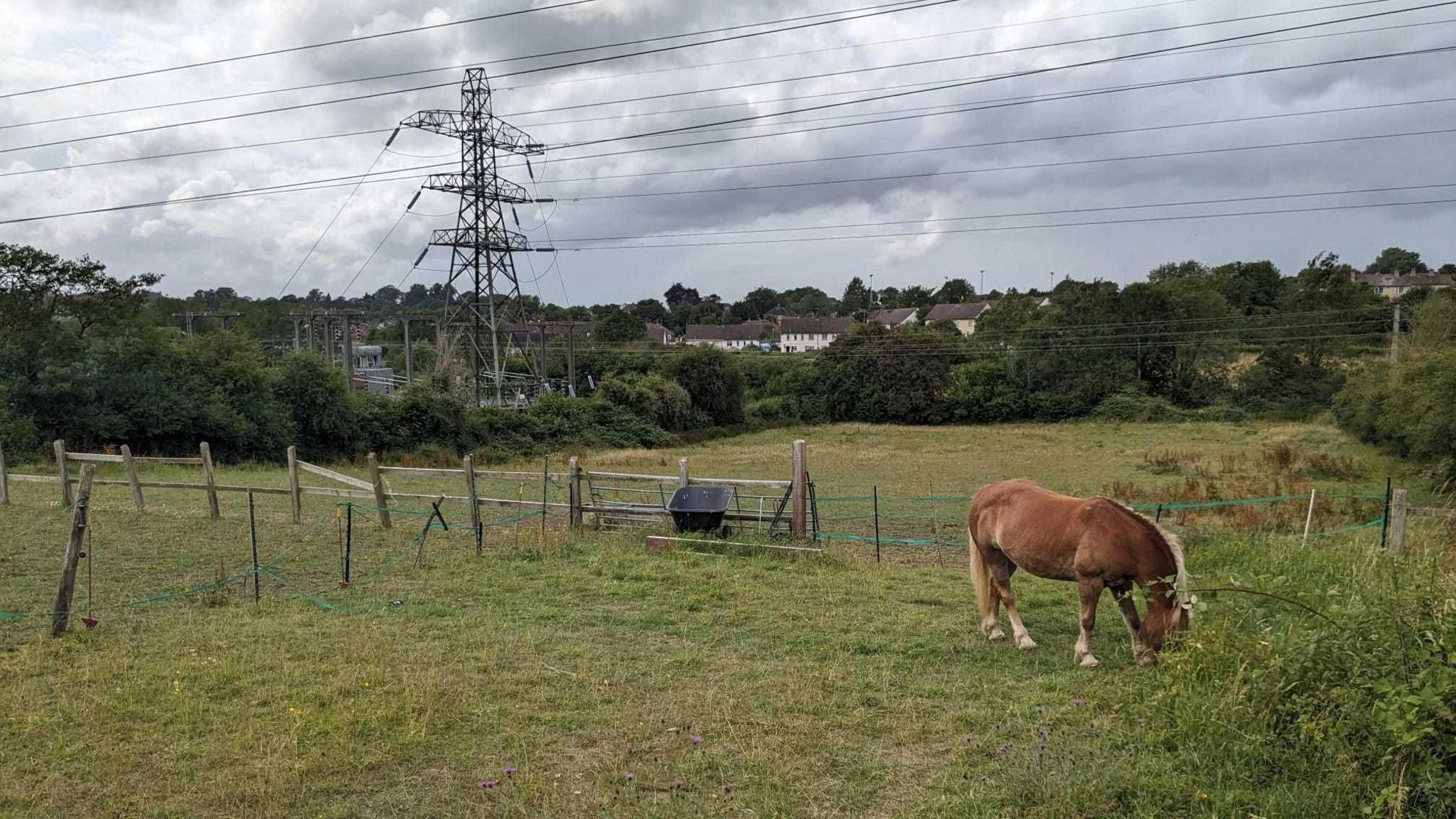 A view across the green field where the proposed facility would have been built. There is a small wooden fence splitting the field in two. A brown horse is grazing on grass to the right of the picture. In the distance you can see a large electricity power line from the neighbouring substation.