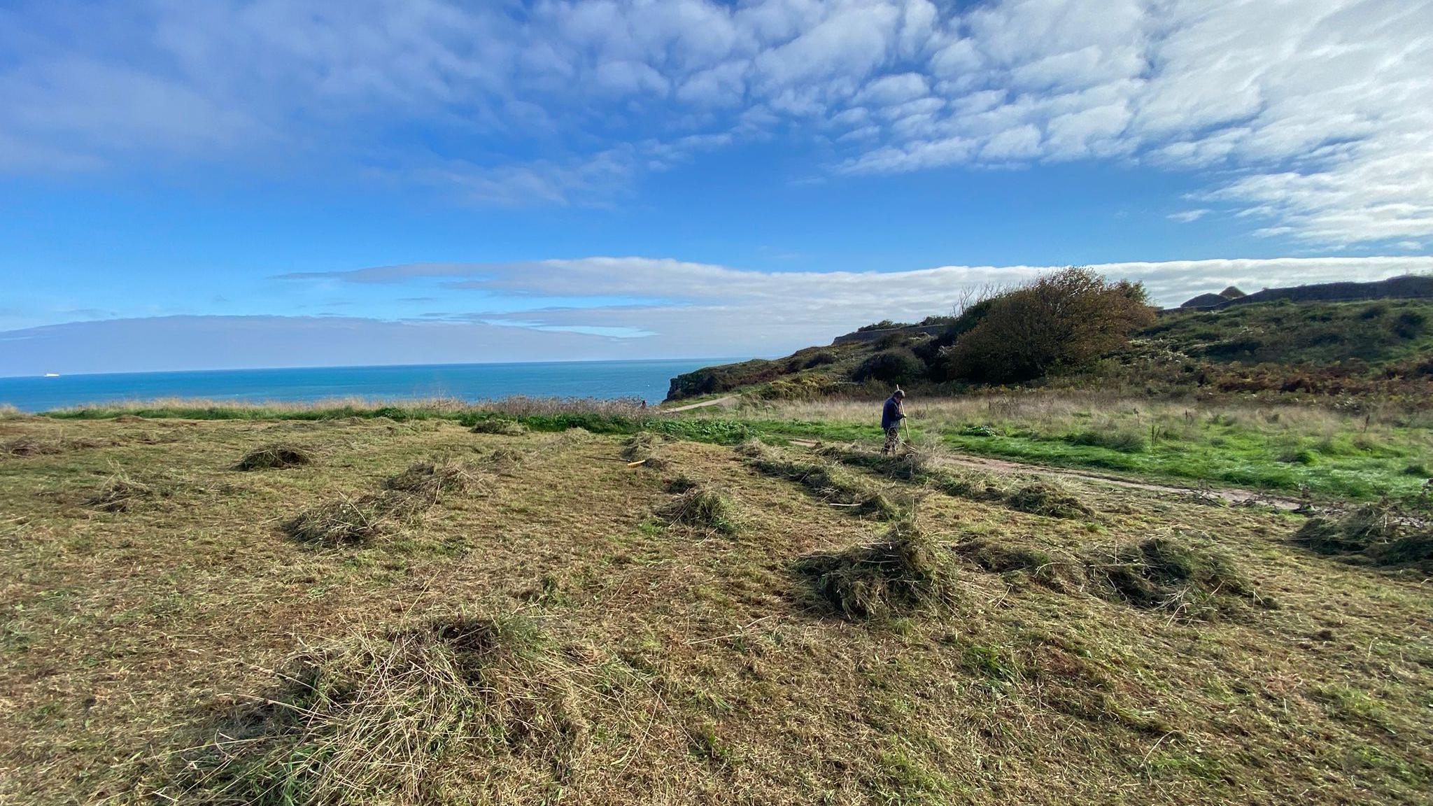 Berry Head has piles of dried grass being raked by a ranger. Beyond the headland is a blue sky and it is a sunny day with some clouds.
