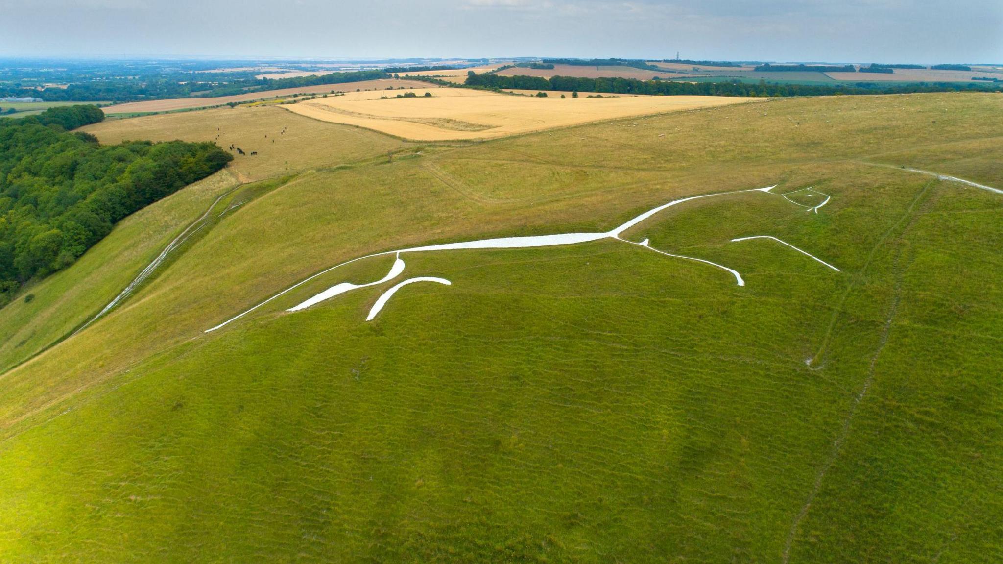 A general view of the Uffington White Horse in Oxfordshire.