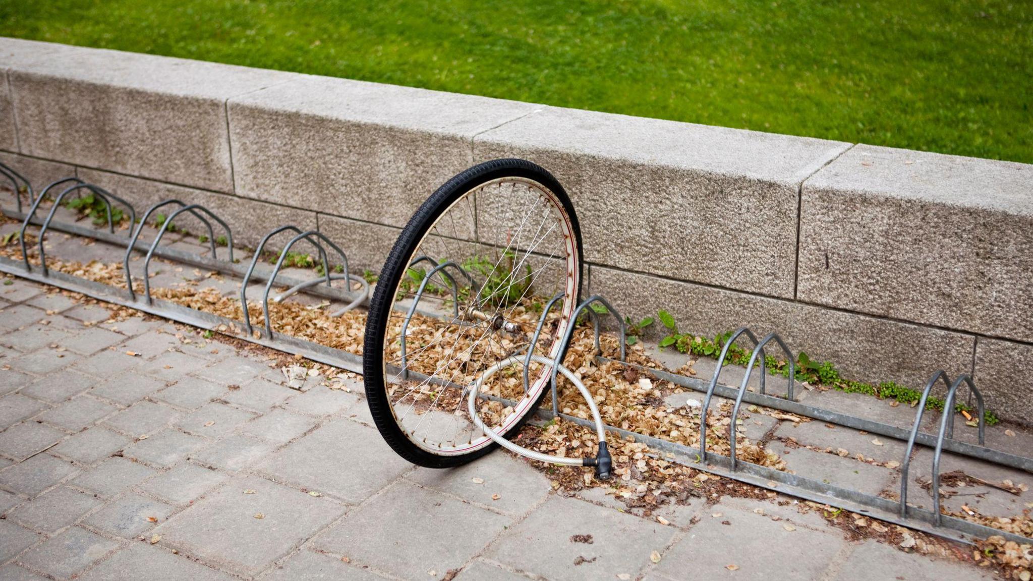 A bicycle wheel sits locked to a rail. The rest of the bike is seemingly missing. 