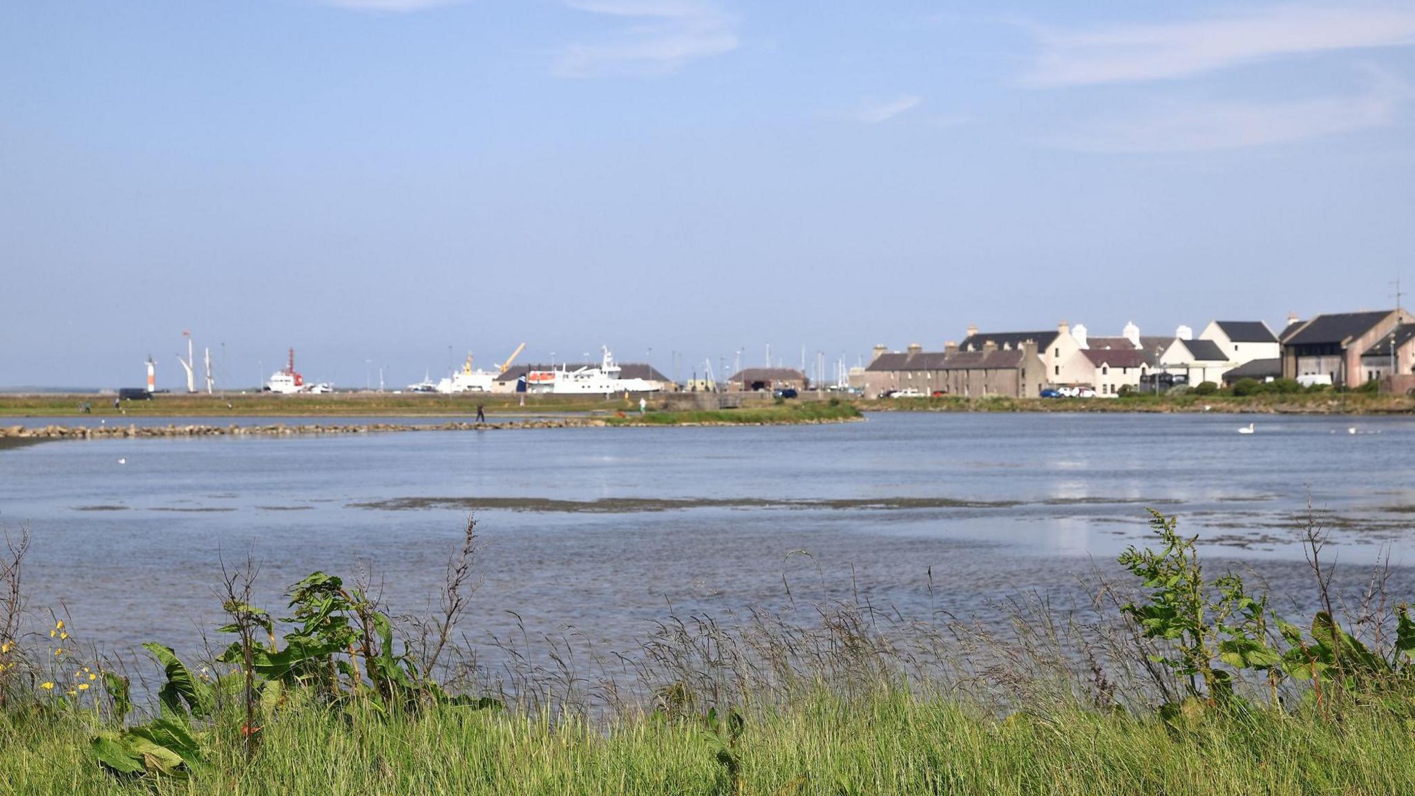 A sea with grass and plants on the shore and houses overlooking the water. Large ships and boats are in the background.