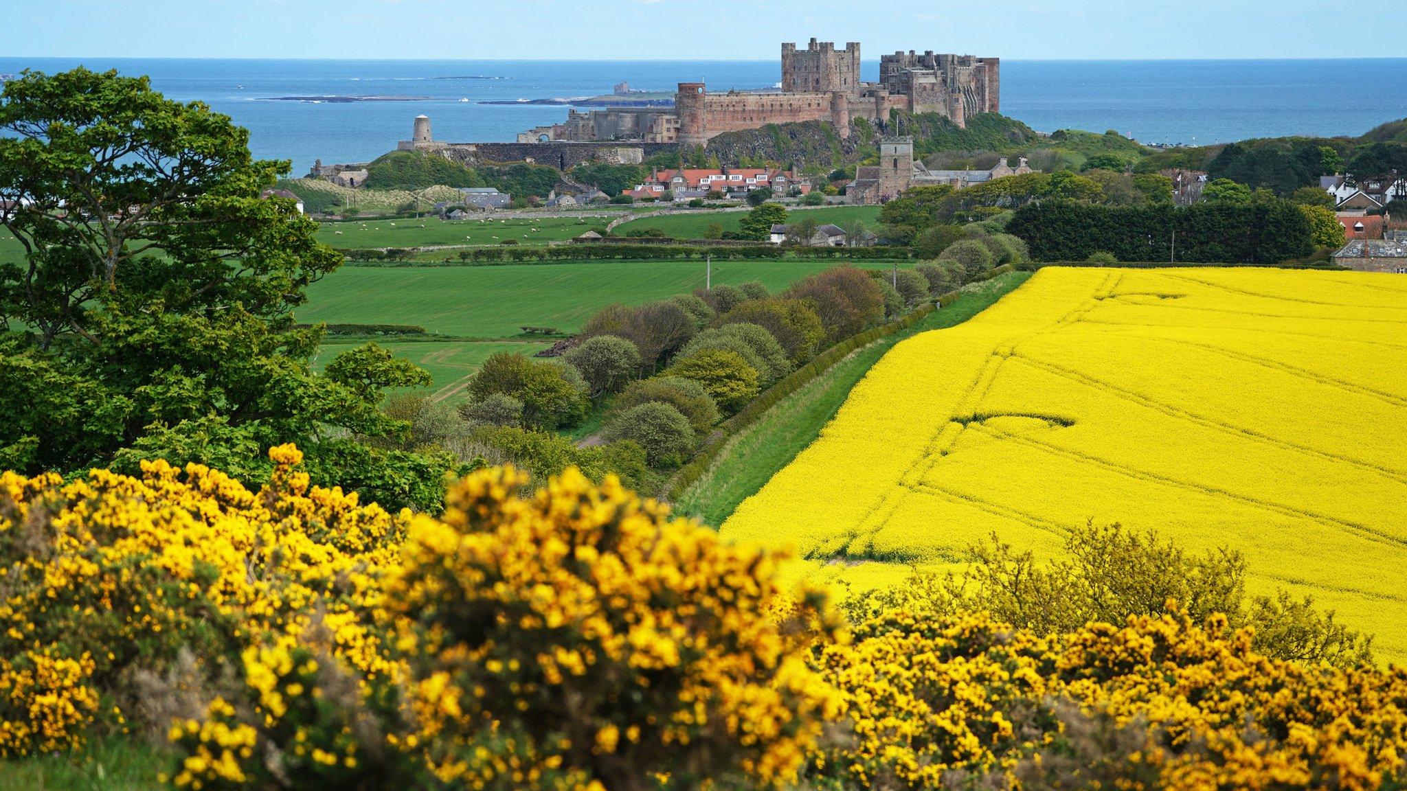 Bamburgh Castle in Northumberland