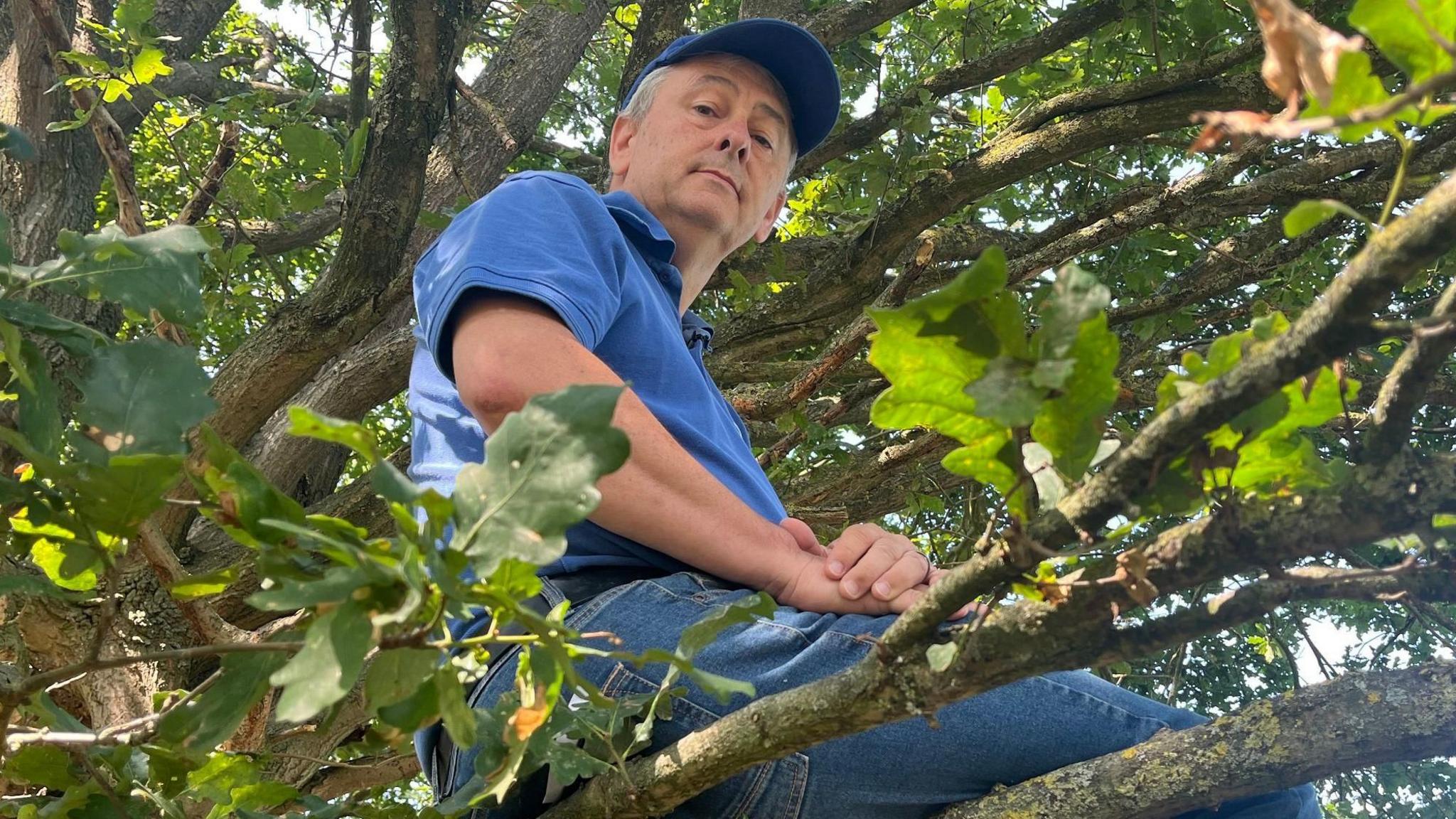 Richard Lambert sitting in a tree with his legs hanging over a branch towards the left, hands folded in his lap and dressed in a blue cap, blue polo shirt and blue jeans