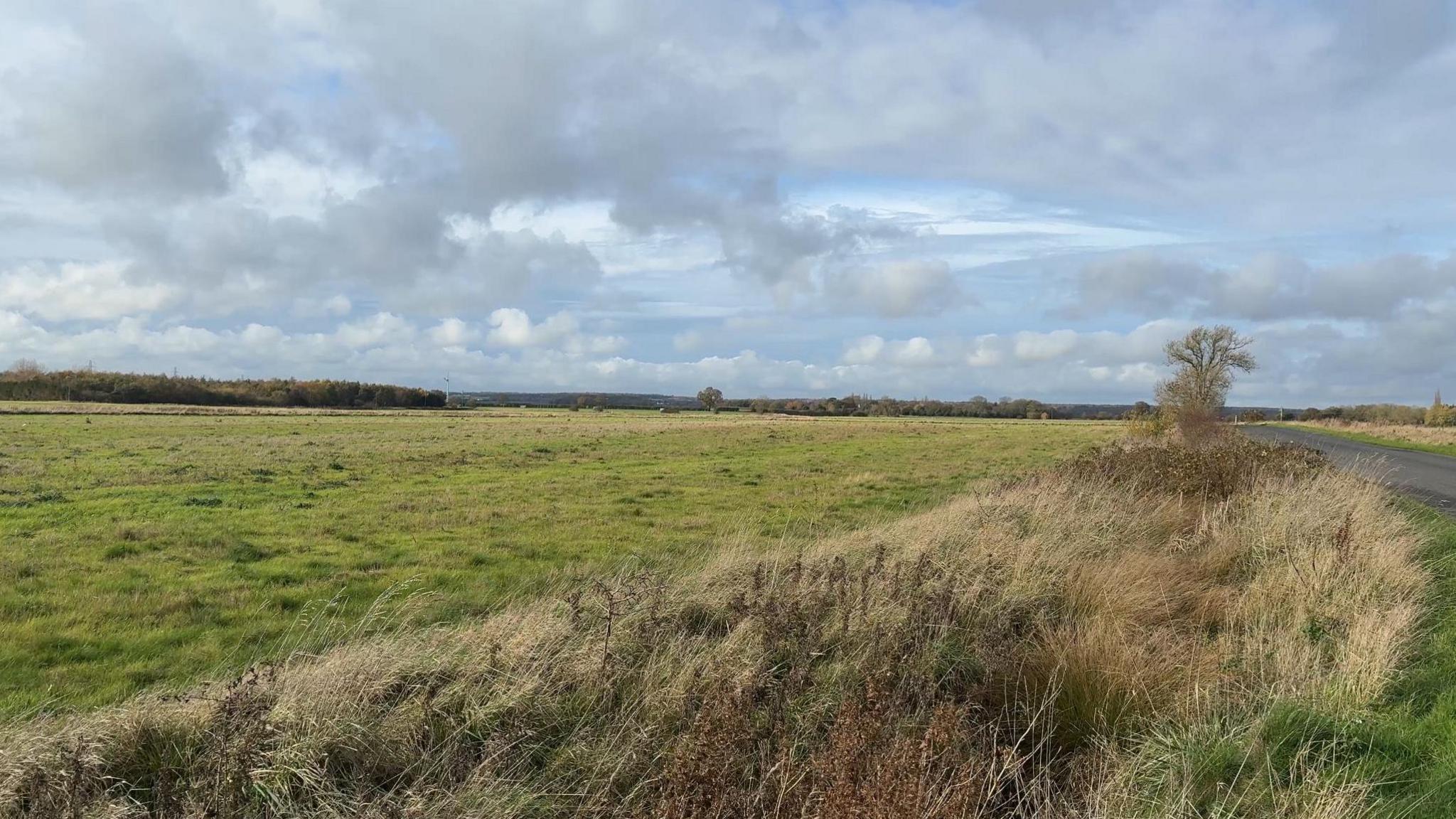 The photo shows a field. The left hand side is flat grass, and to the right hand side is shrubbery.