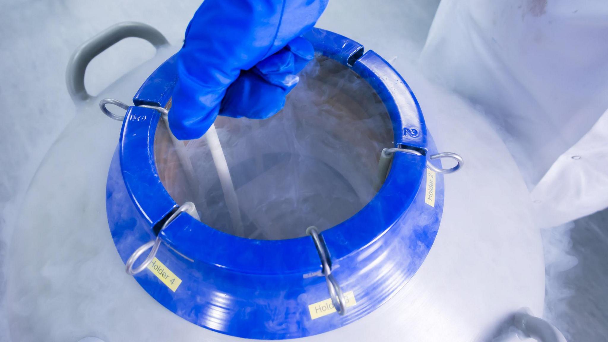 Scientist lifting cells stored at sub zero temperatures in a liquid nitrogen cryopreservation chamber.