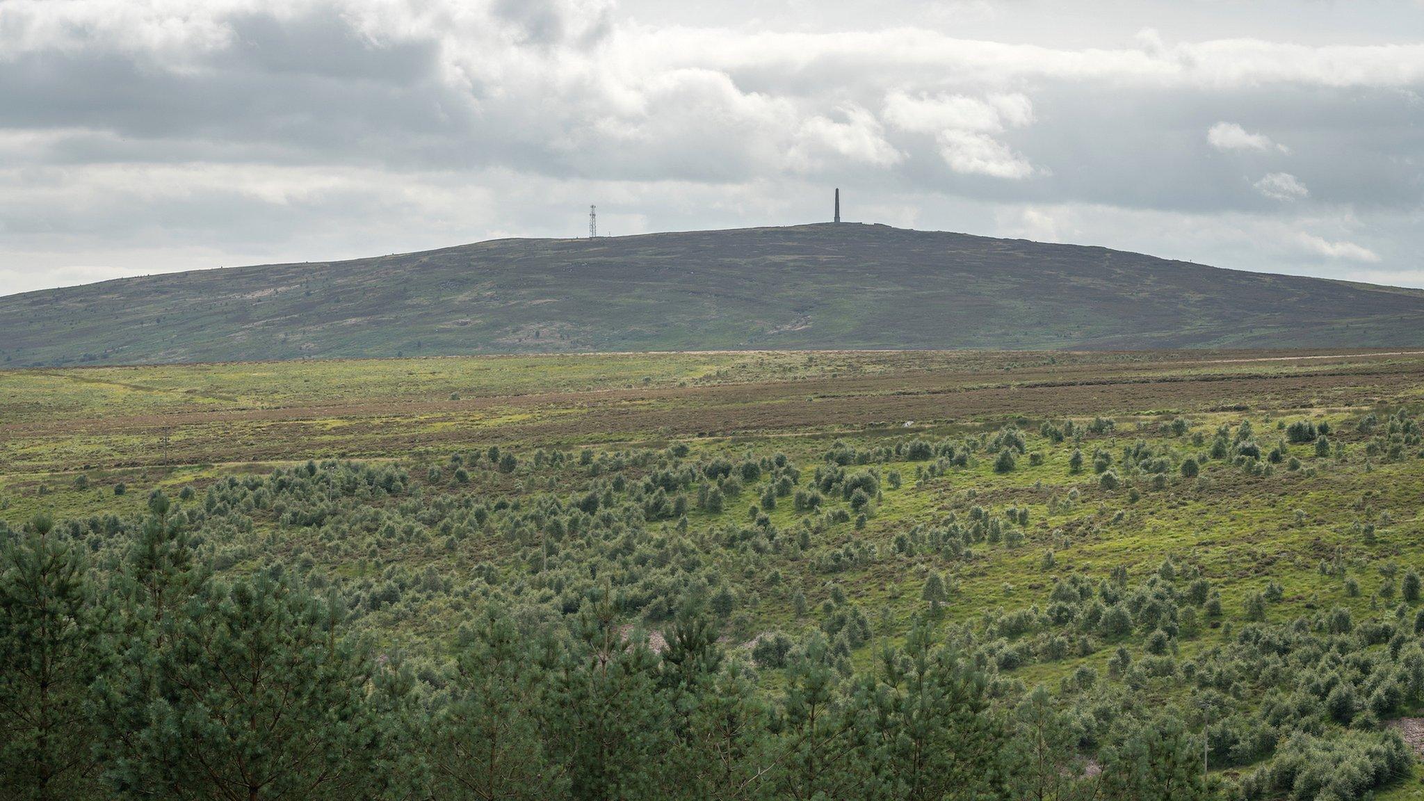 Langholm Moor