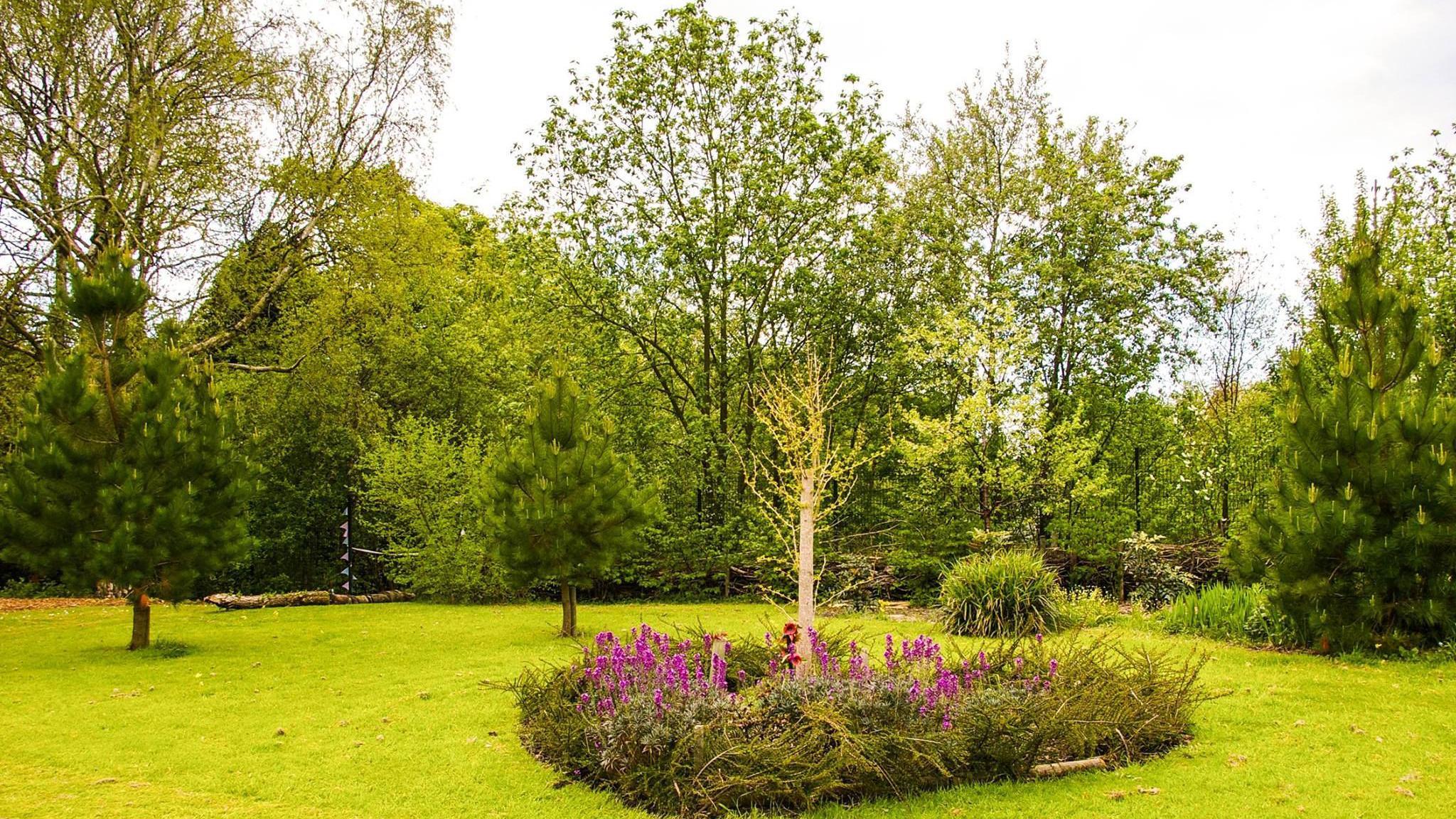 The image shows several different types of trees and well-kept lawn.