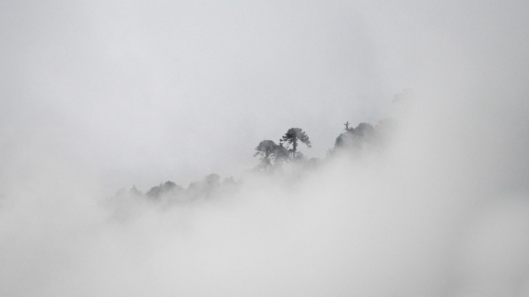 Fog in Chile. 