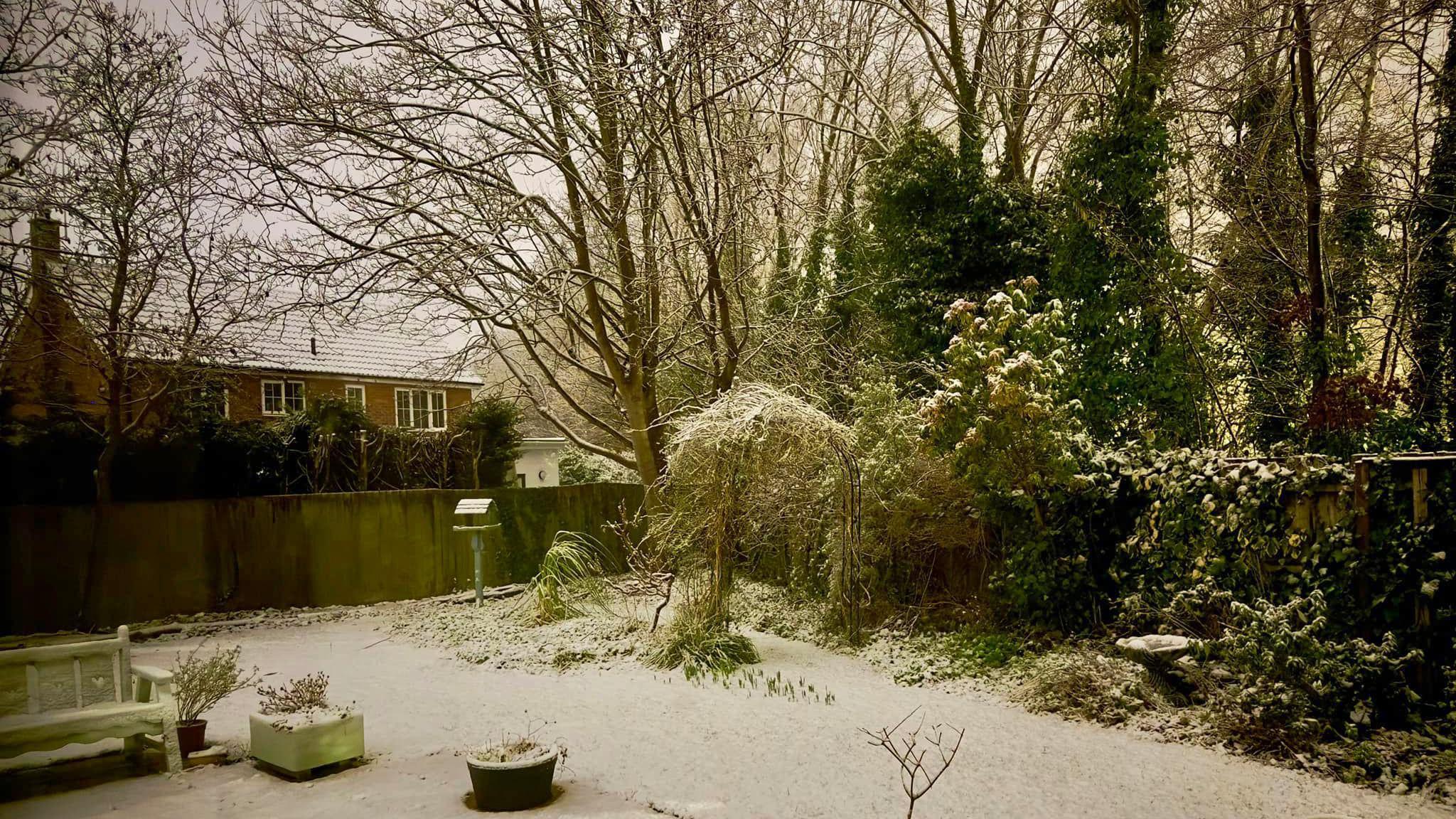 Snow fallen in a garden, showing snow on the the grass, on trees and bushes, a bird table, plant pots and a bench. There is a house in the distance, behind a wooden fence.