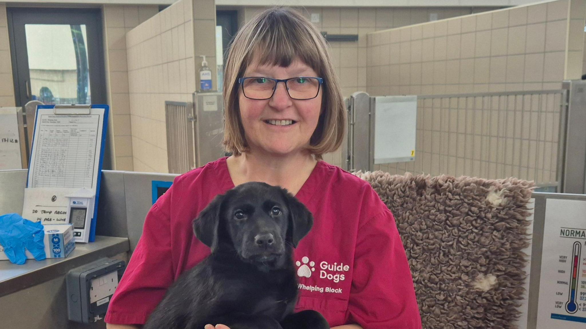 A woman in a maroon T-shirt with Guide Dogs written on the left breast, holding a black Labrador puppy. She has short dark blonde hair and fringe, is wearing glasses and smiling at the camera. She is sat on a chair in a cream-tiled room with veterinary gloves, devices and charts on a counter and a brown furry rug draped behind.