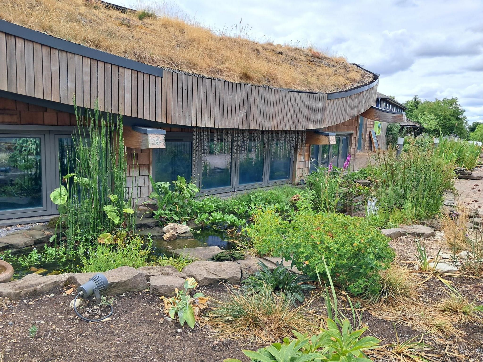 A single-storey building with a grass roof stands behind a flower patch and pond.