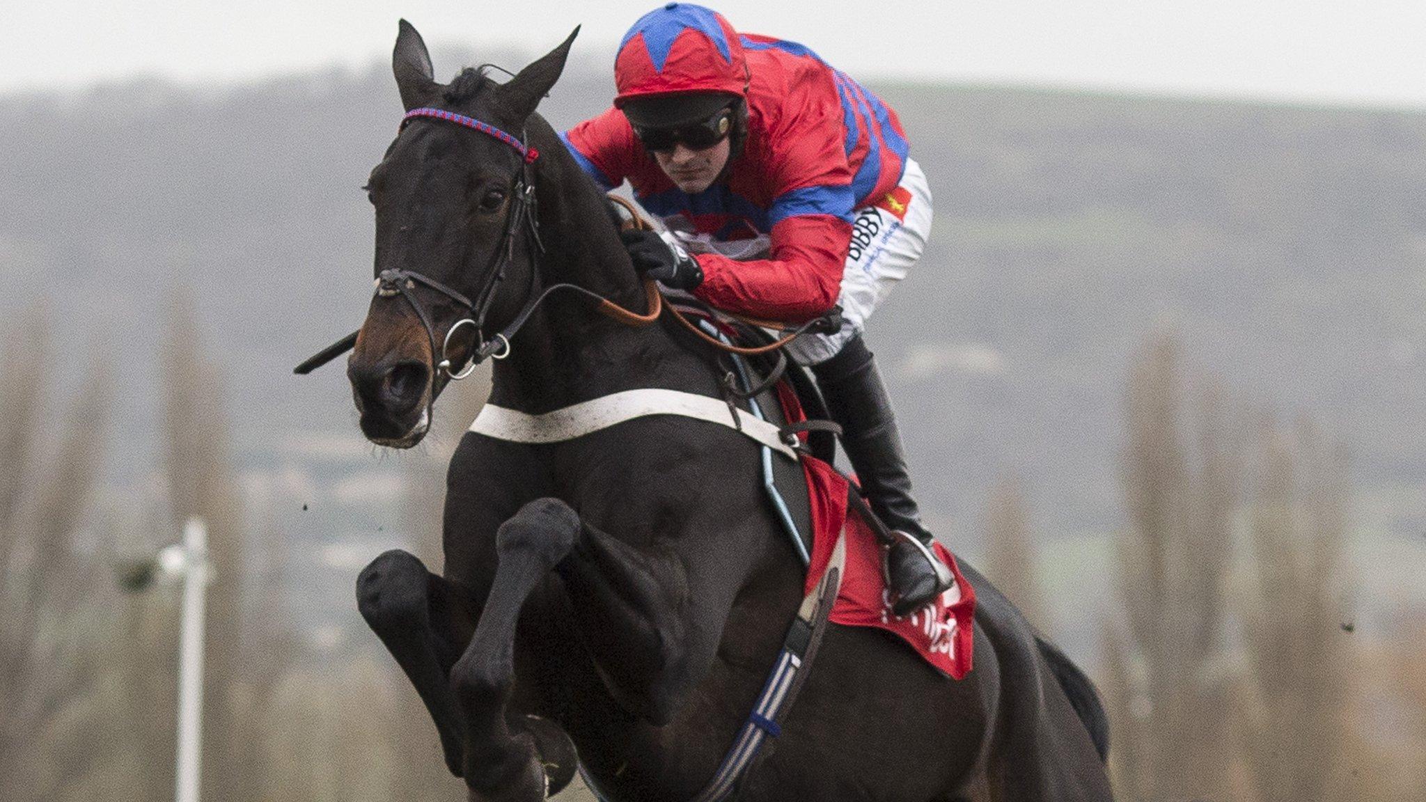 Sprinter Sacre at Cheltenham