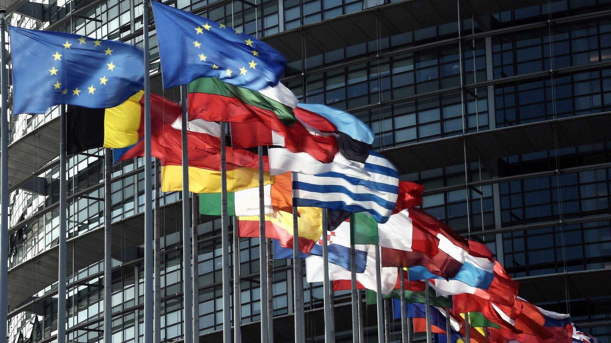 Flags fly outside the European Parliament