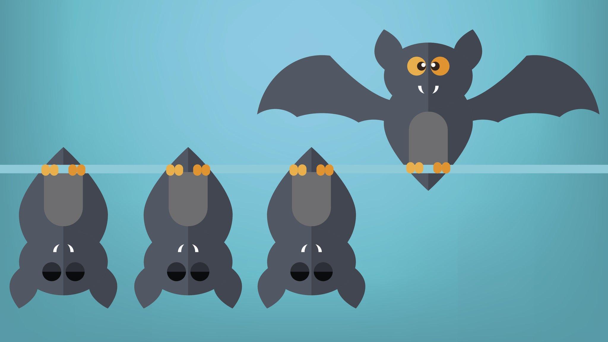 vampire-bats- dangling-upside-down