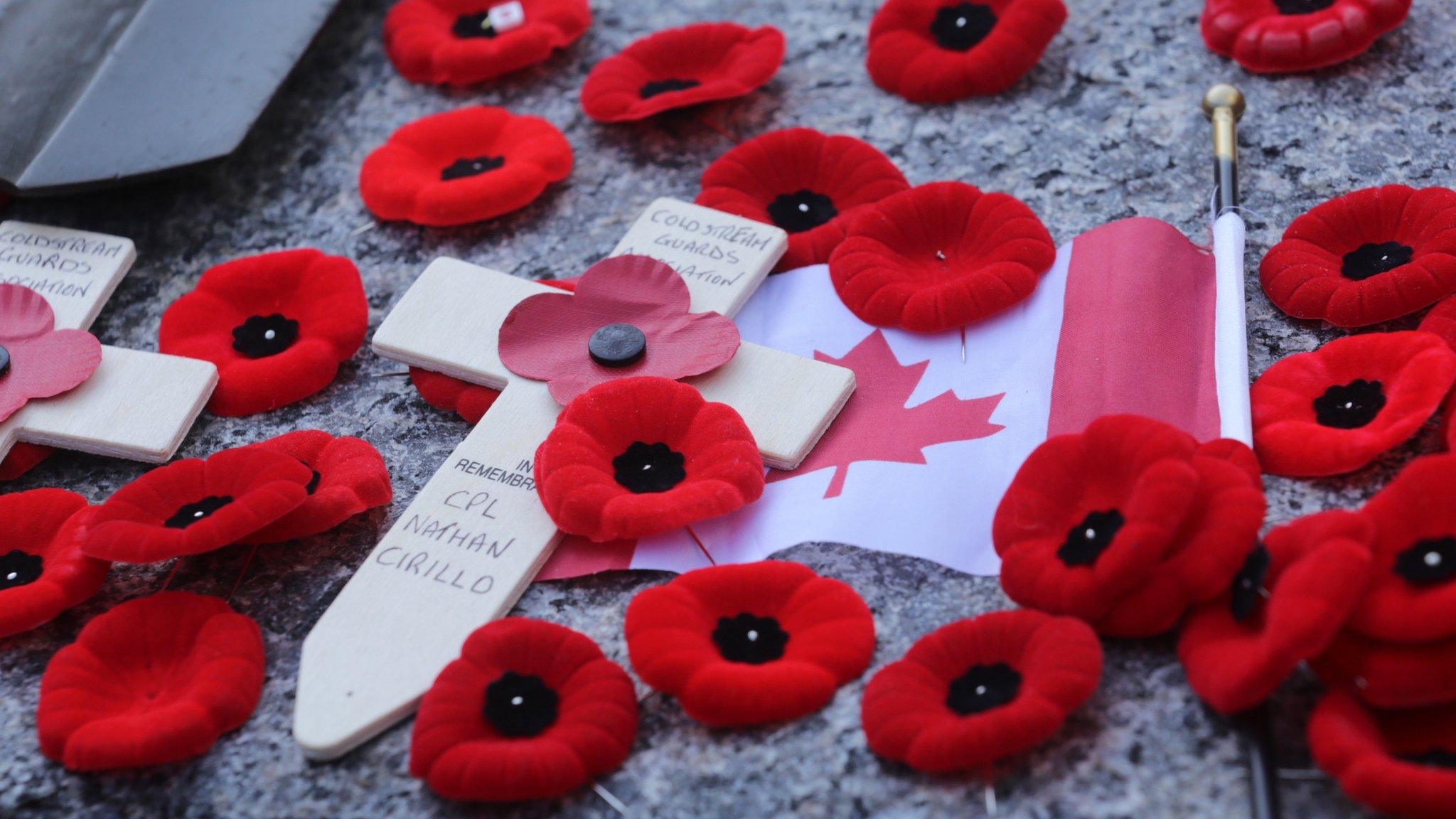 Canada flag and poppies