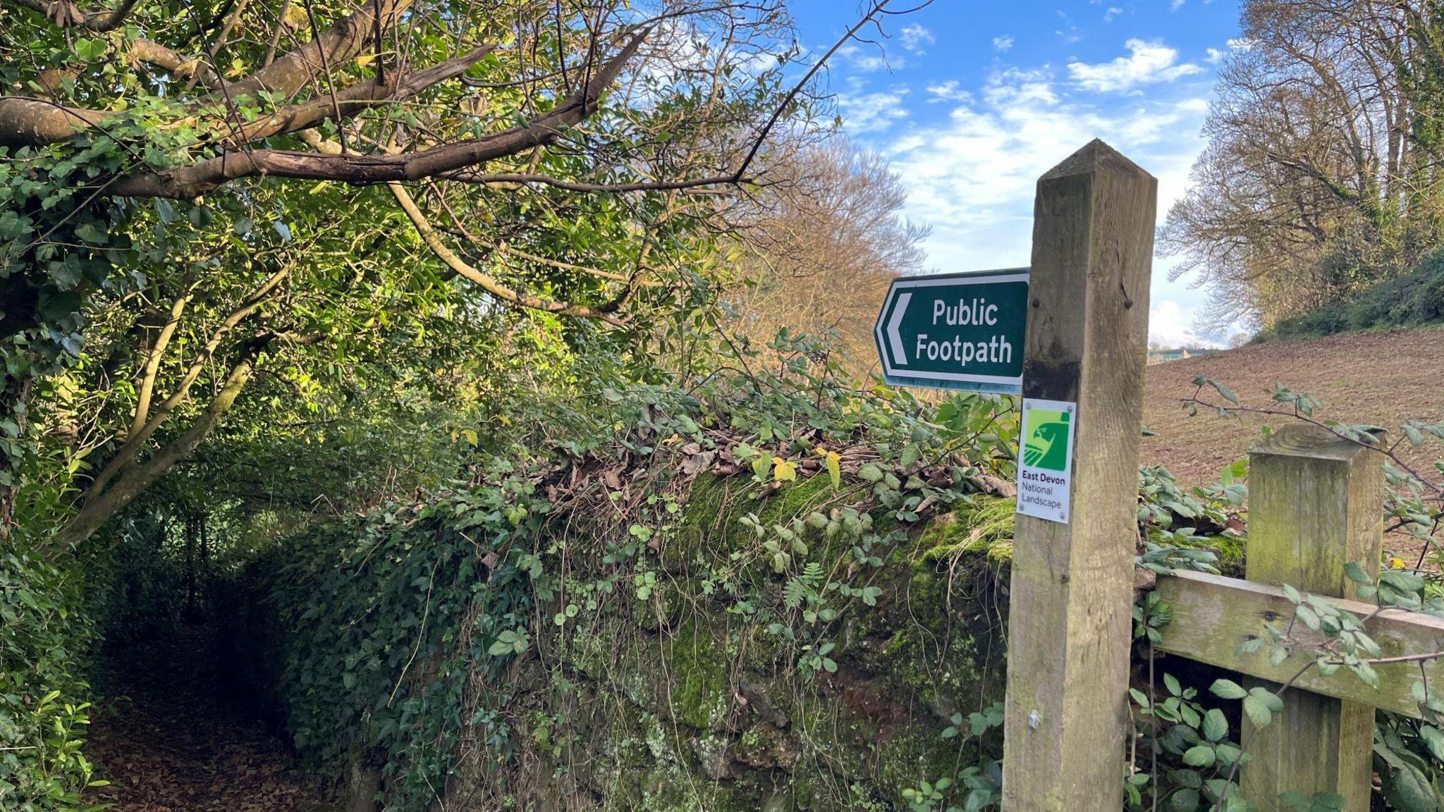 A public footpath sign next to a wooden fence separating a recently-ploughed field from an overgrown footpath.