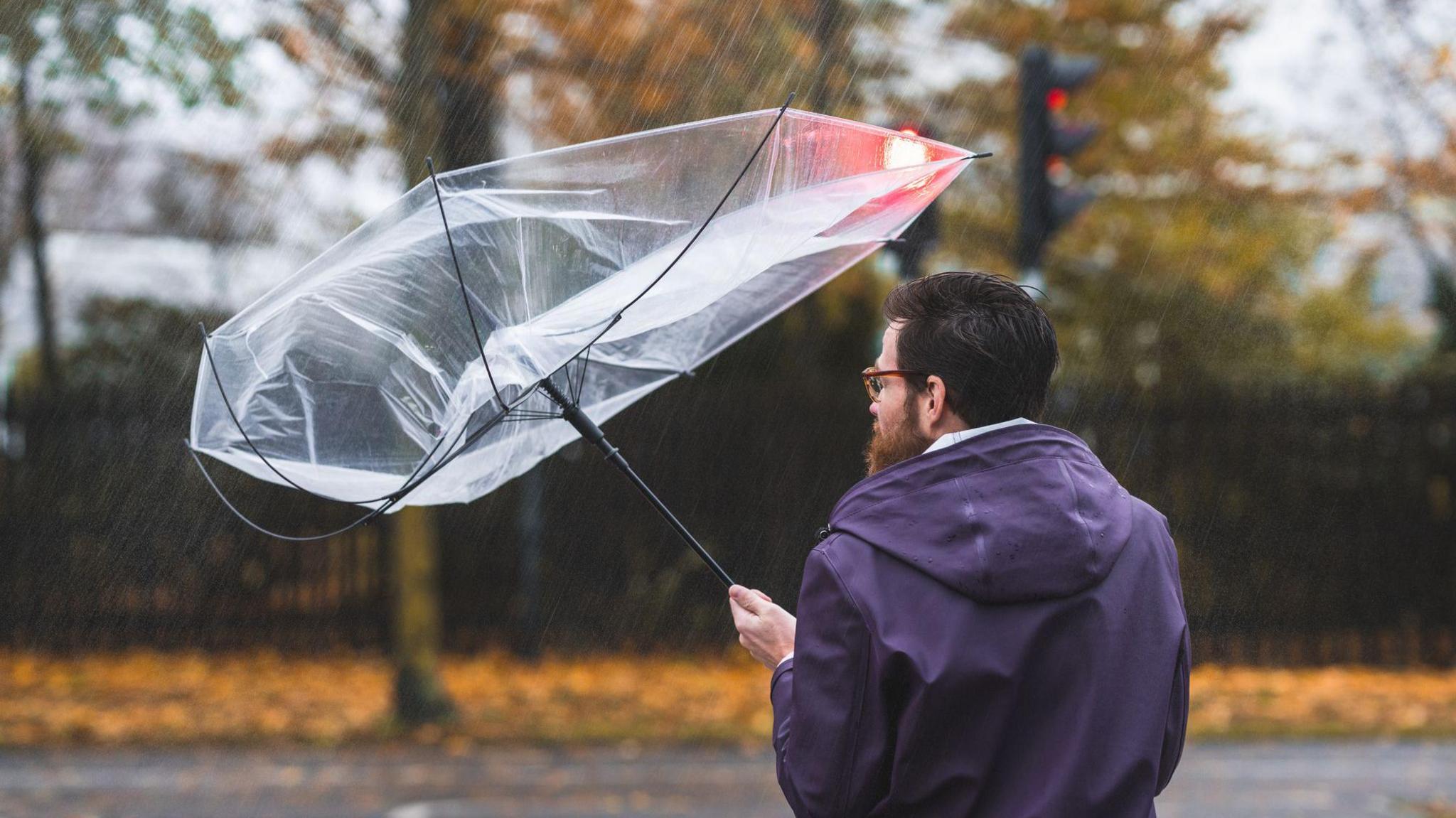 Man in the city gets his umbrella caught in the wind and turned inside out. He is standing in the rain. He has dark hair and beard, wearing glasses and a purple rain coats. Autumn leaves are on the ground.
