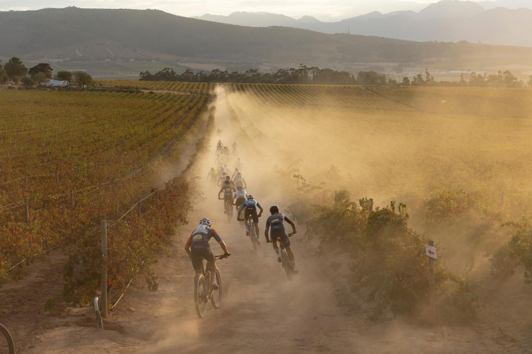 A trail of dust follows a group of cyclists taking part in a race.