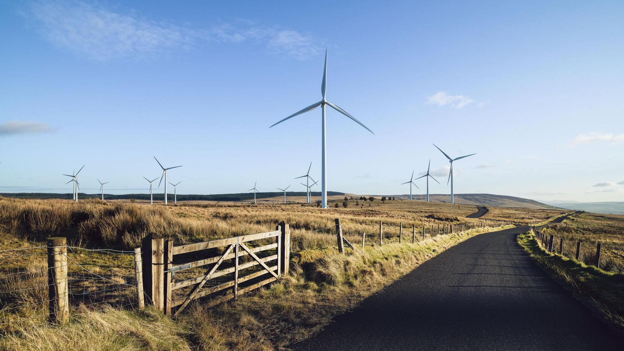 A country road streches into the distance straddled by grass fields bordered by a wire fence. The field straight ahead has a number of wind turbines which can be seen for some distance. There is a farm gate at the front of the image leading into another field. The sky is blue and largely cloudless. 