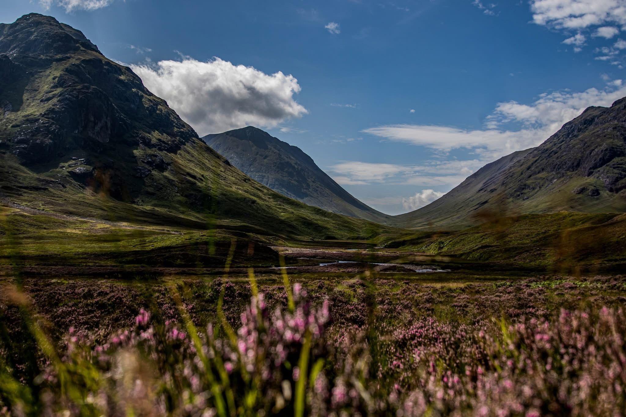 Pink heather is pictured in the foreground of a beautiful landscape at Fort William, a gorgeous valley stretching off, and a blue sky with just a few fluffy clouds.