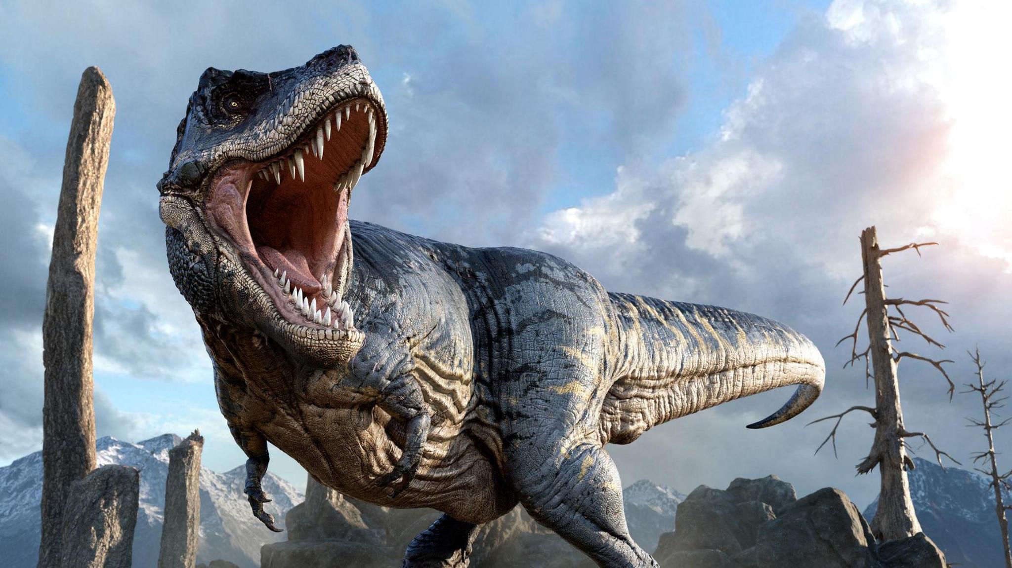 Computer illustration of a T-Rex.