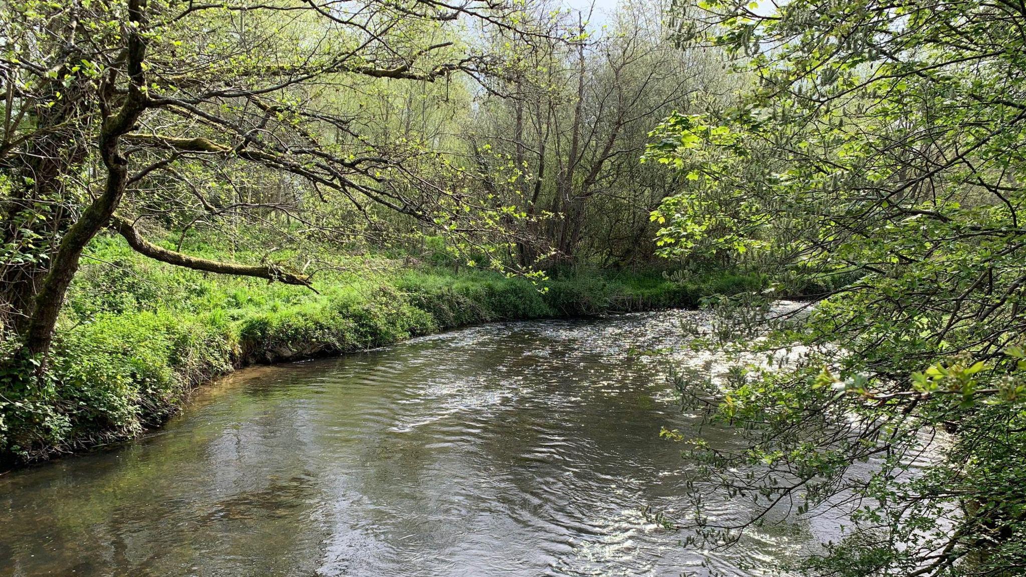 A view looking down at a river, fairly wide at this point, sun reflecting from it with lush green grass either side and trees