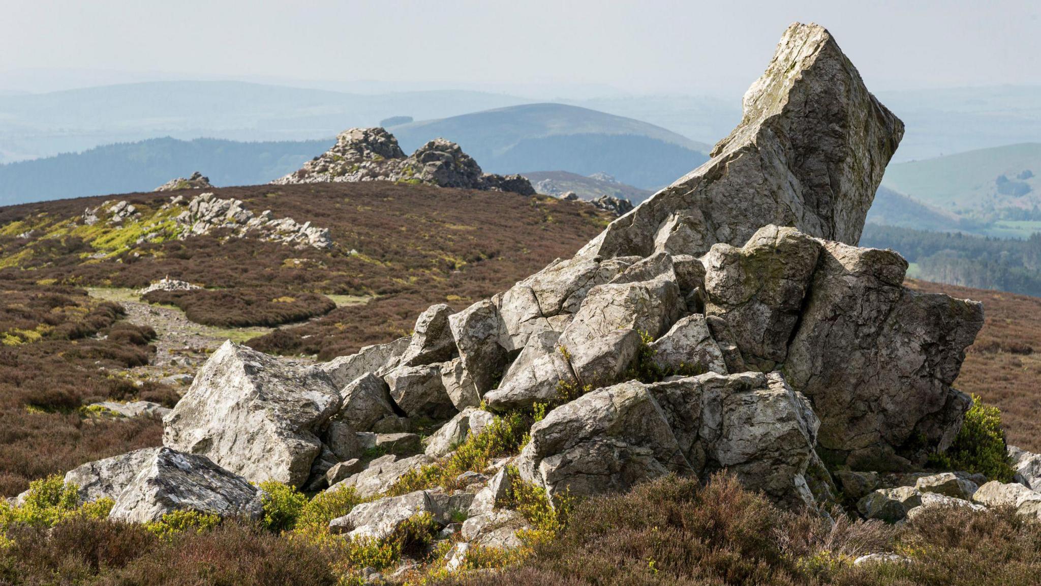 A rock formaption in Stiperstones Nature Reserve, Shropshire