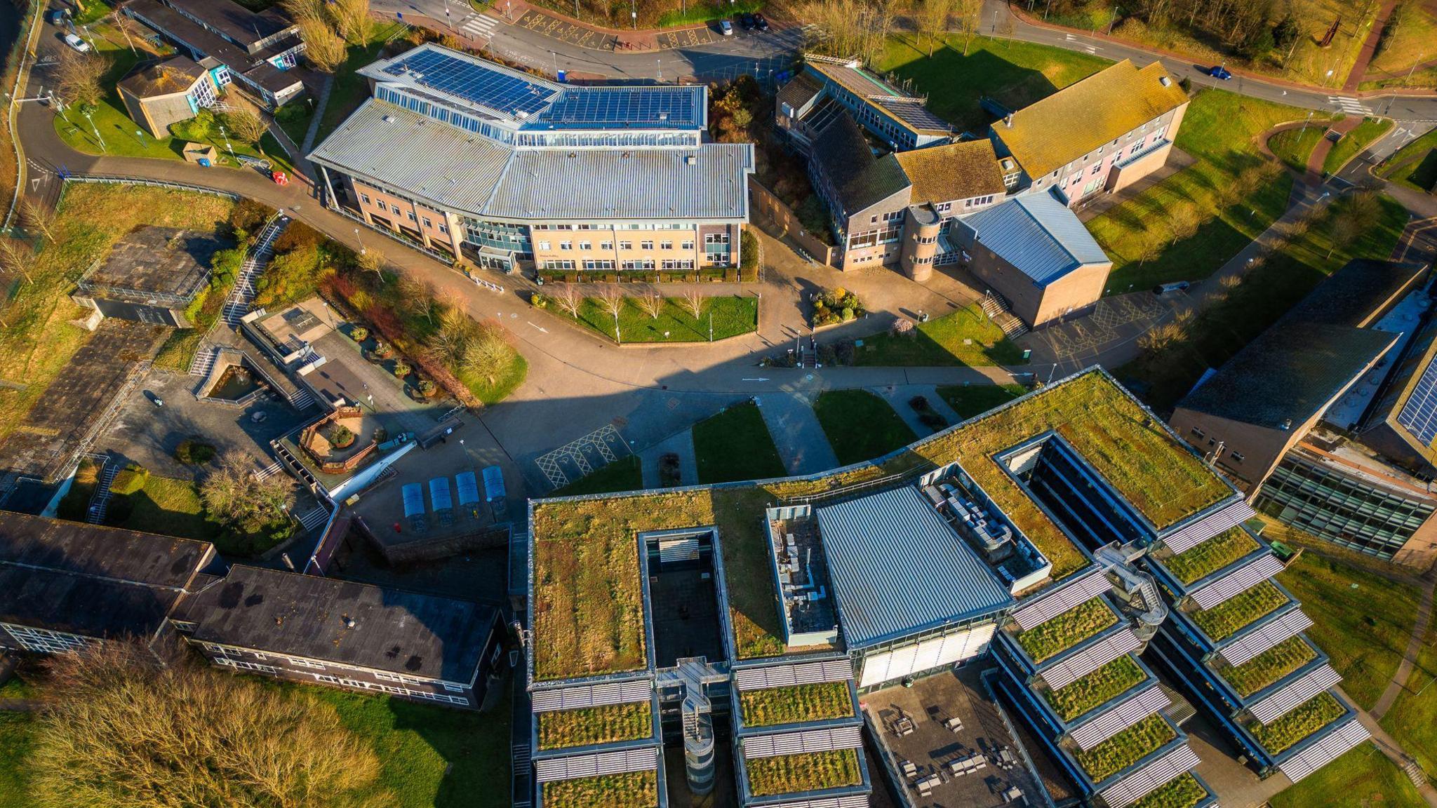 An aerial view of a university campus. It is green with grass and trees.