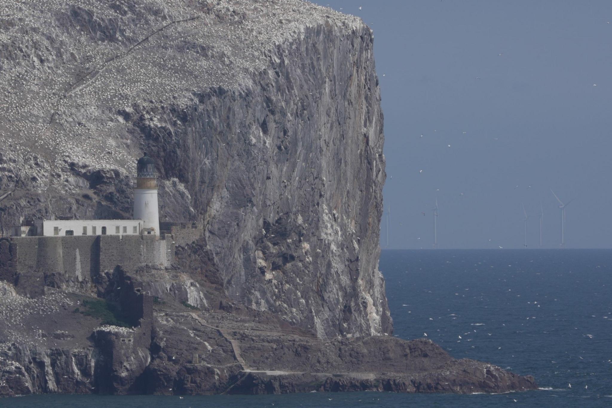 A white lighthouse nestled into the Bass Rock which is covered in seabirds, with wind turbines on the horizon of the sea