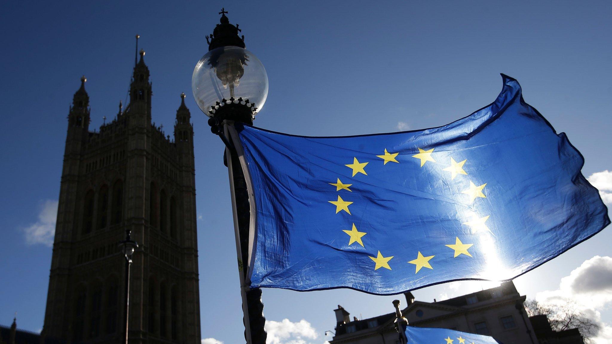 Parliament and EU flag